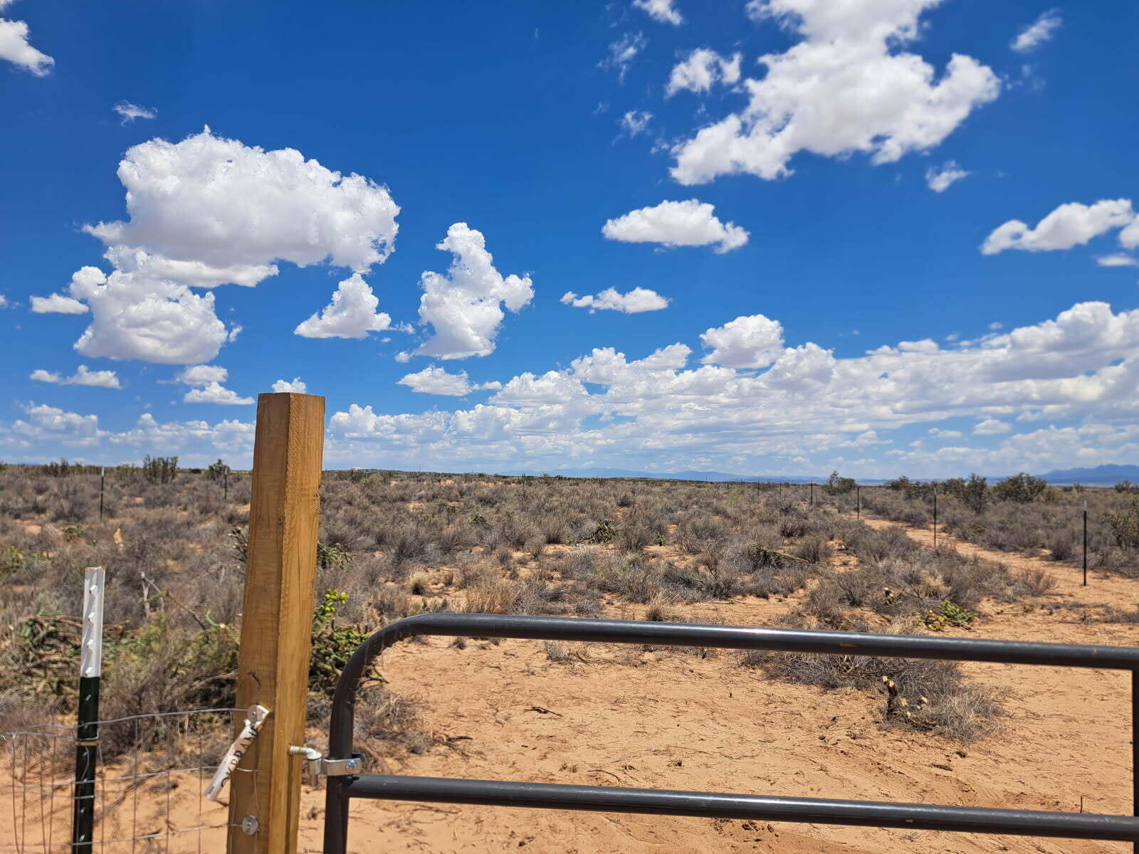 Photo 8 —  Lot 27 Block 52 21