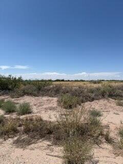 Photo 2 — 701 Riata Road