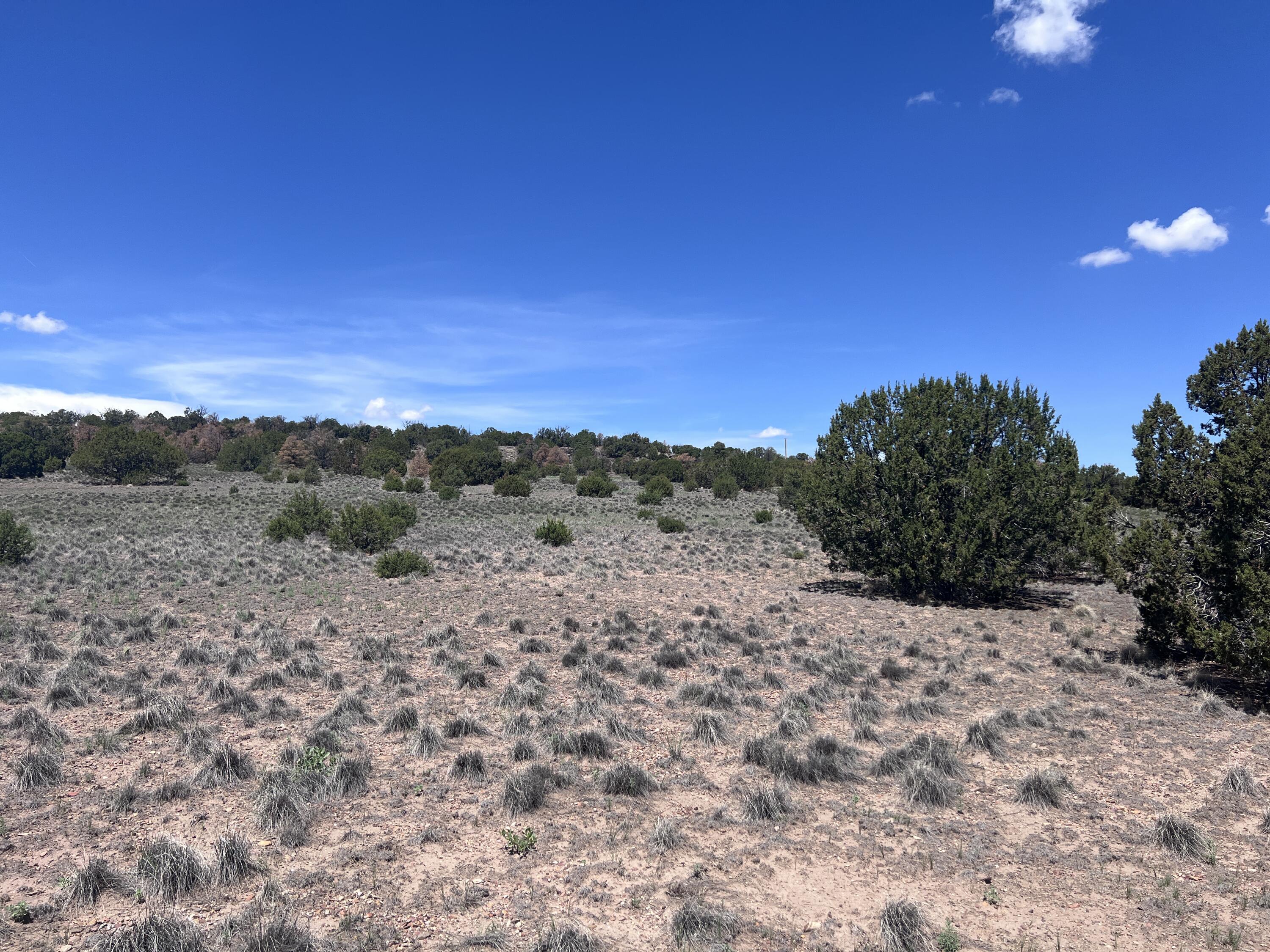 Photo 6 — LOT 13 Cimarron Drive