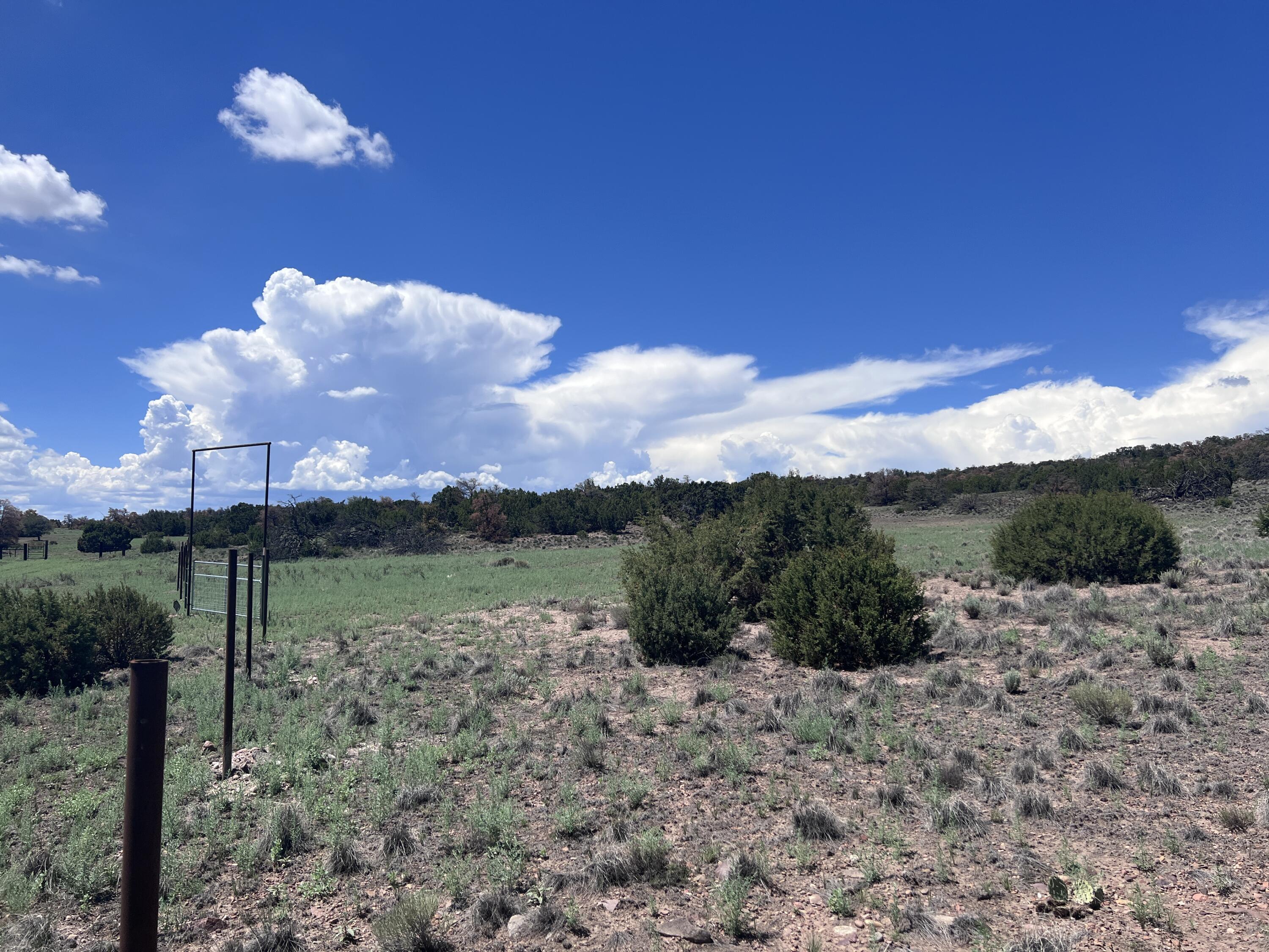 Photo 2 — LOT 13 Cimarron Drive