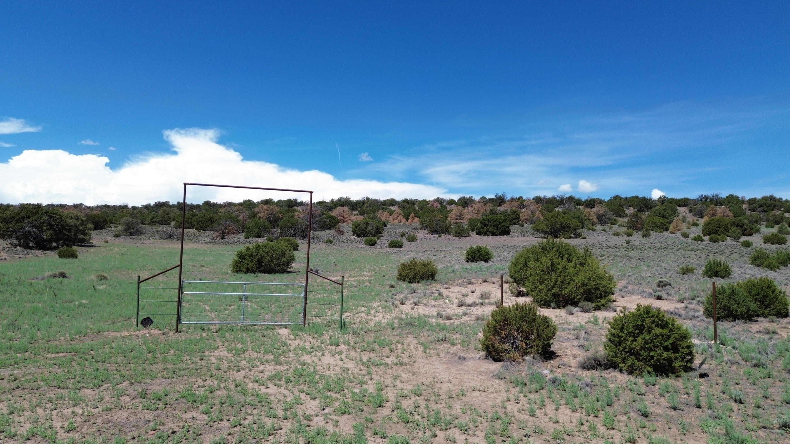 Photo 11 — LOT 13 Cimarron Drive