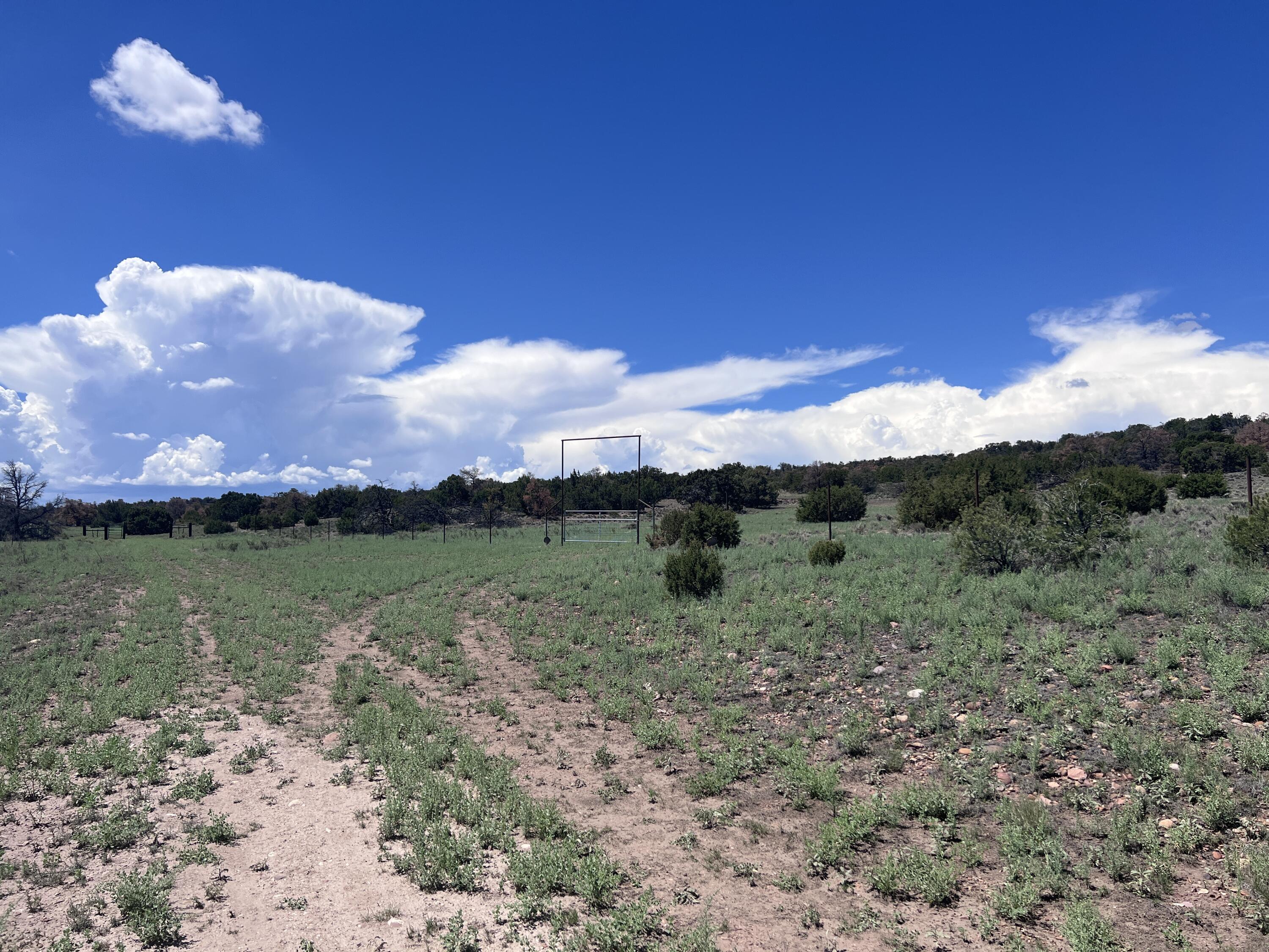 Photo 12 — LOT 13 Cimarron Drive