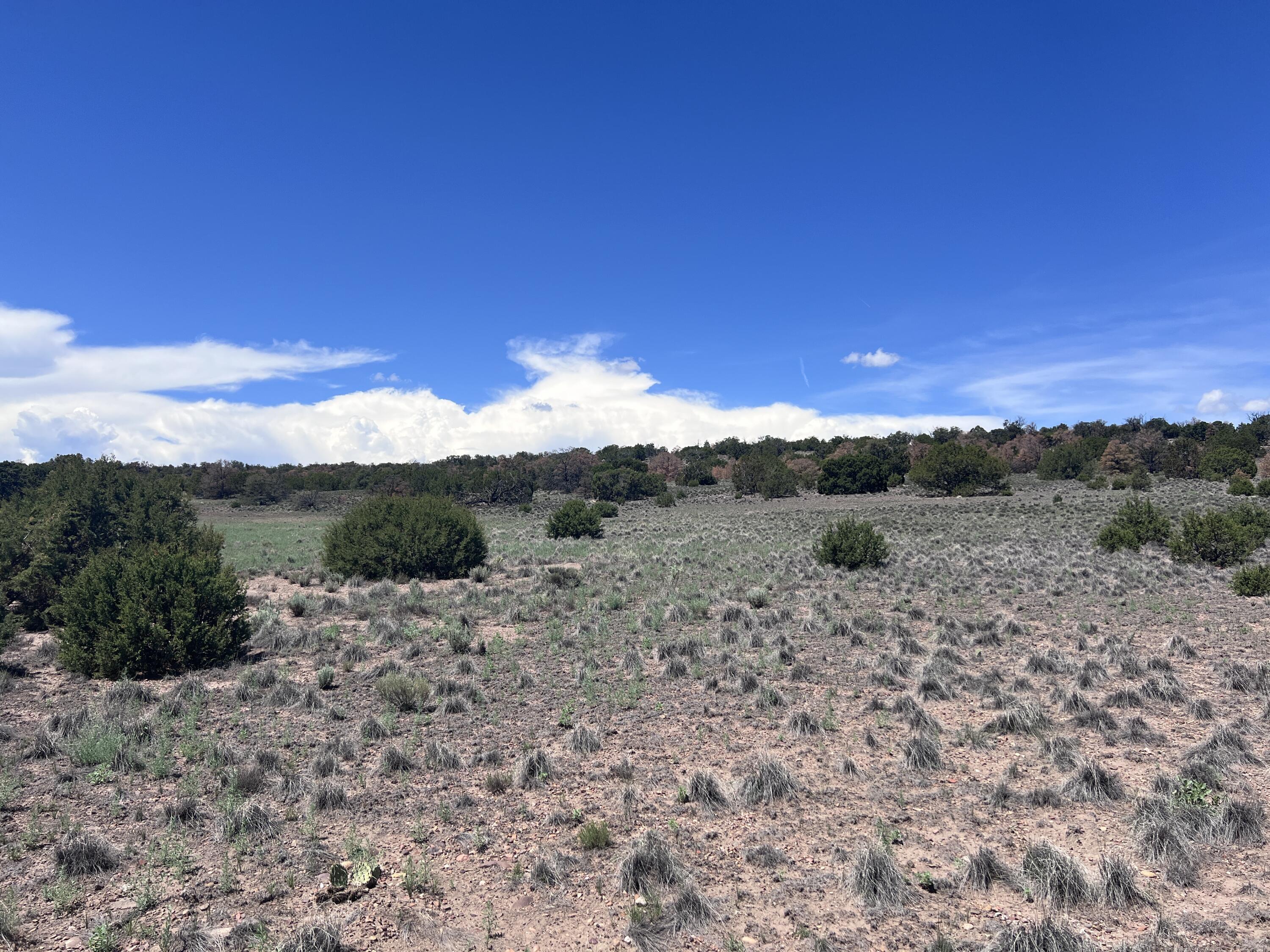 Photo 5 — LOT 13 Cimarron Drive