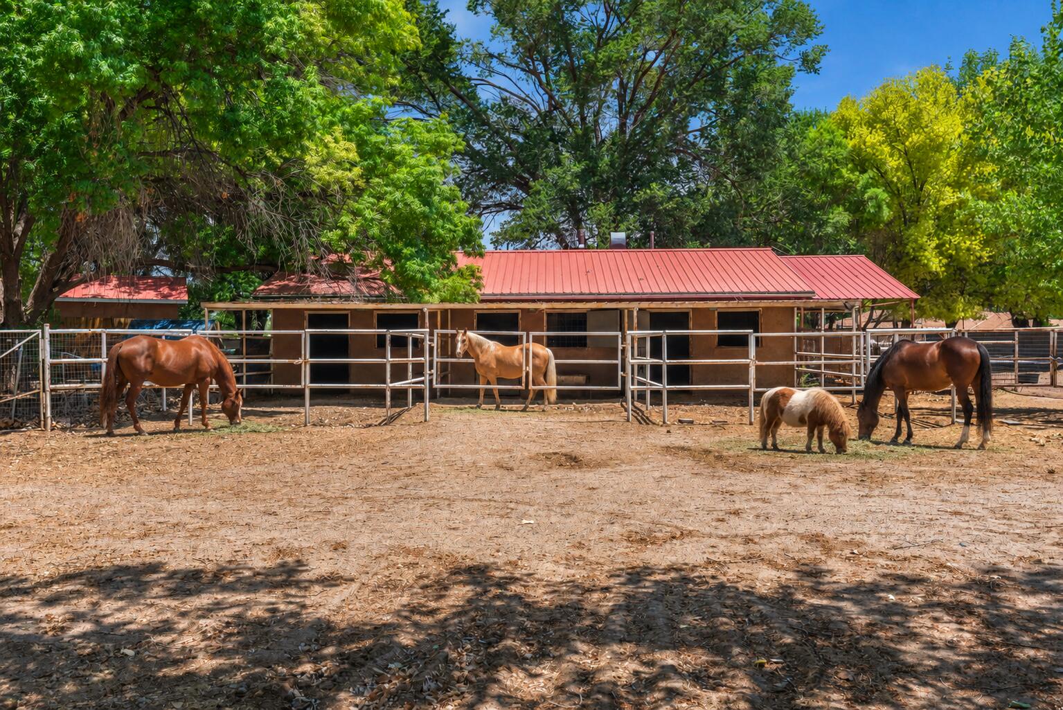 Photo 12 — 310 Country Lane