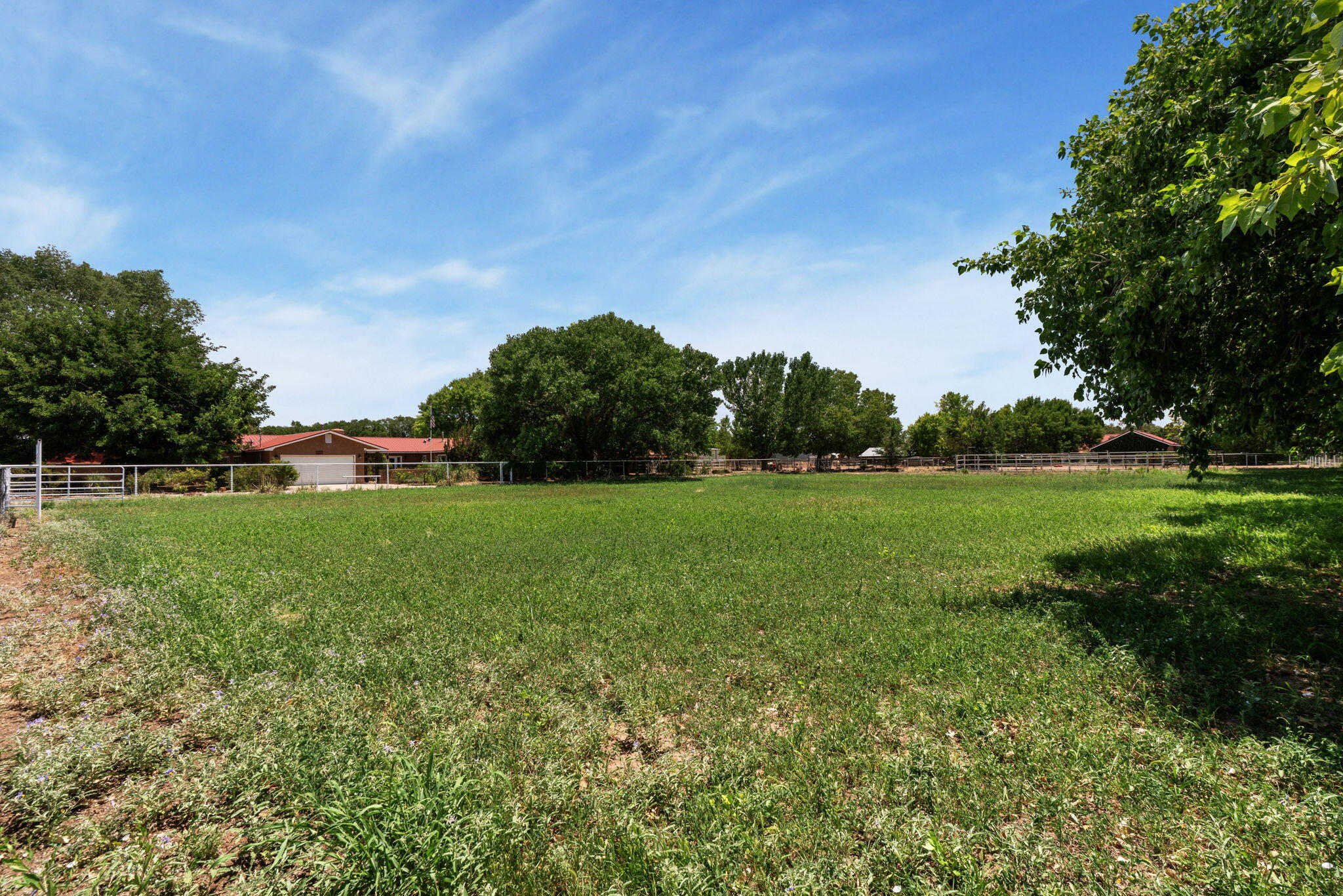 Photo 12 — 310 Country Lane