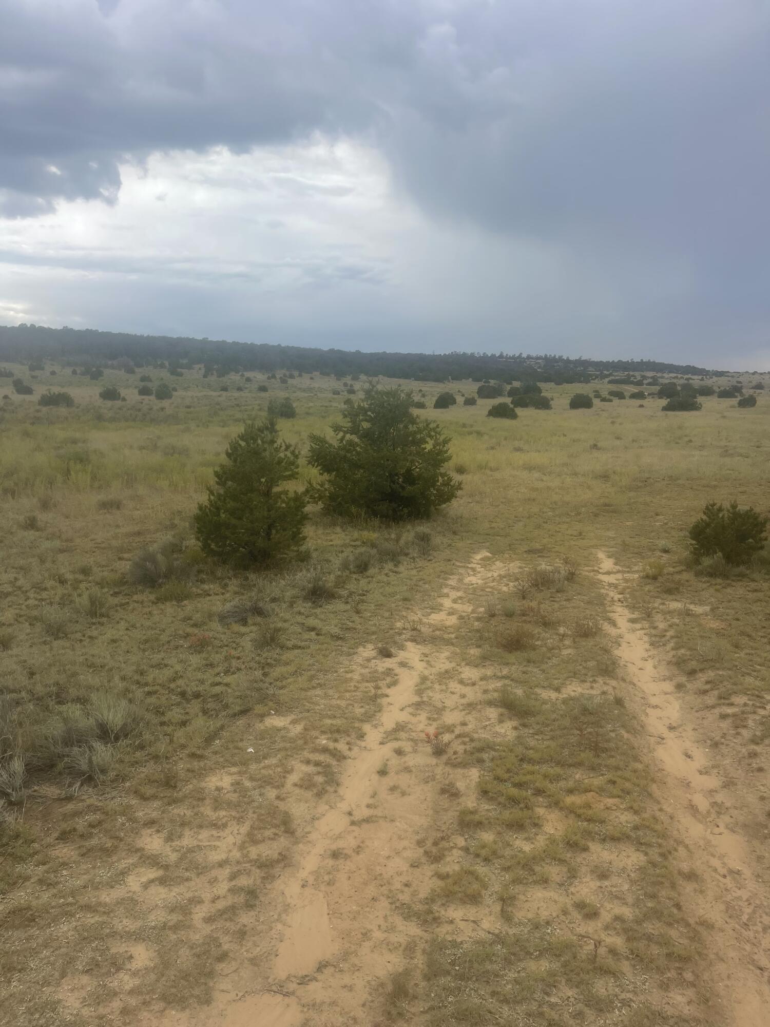 Photo 9 — 9 Peaceful Drive