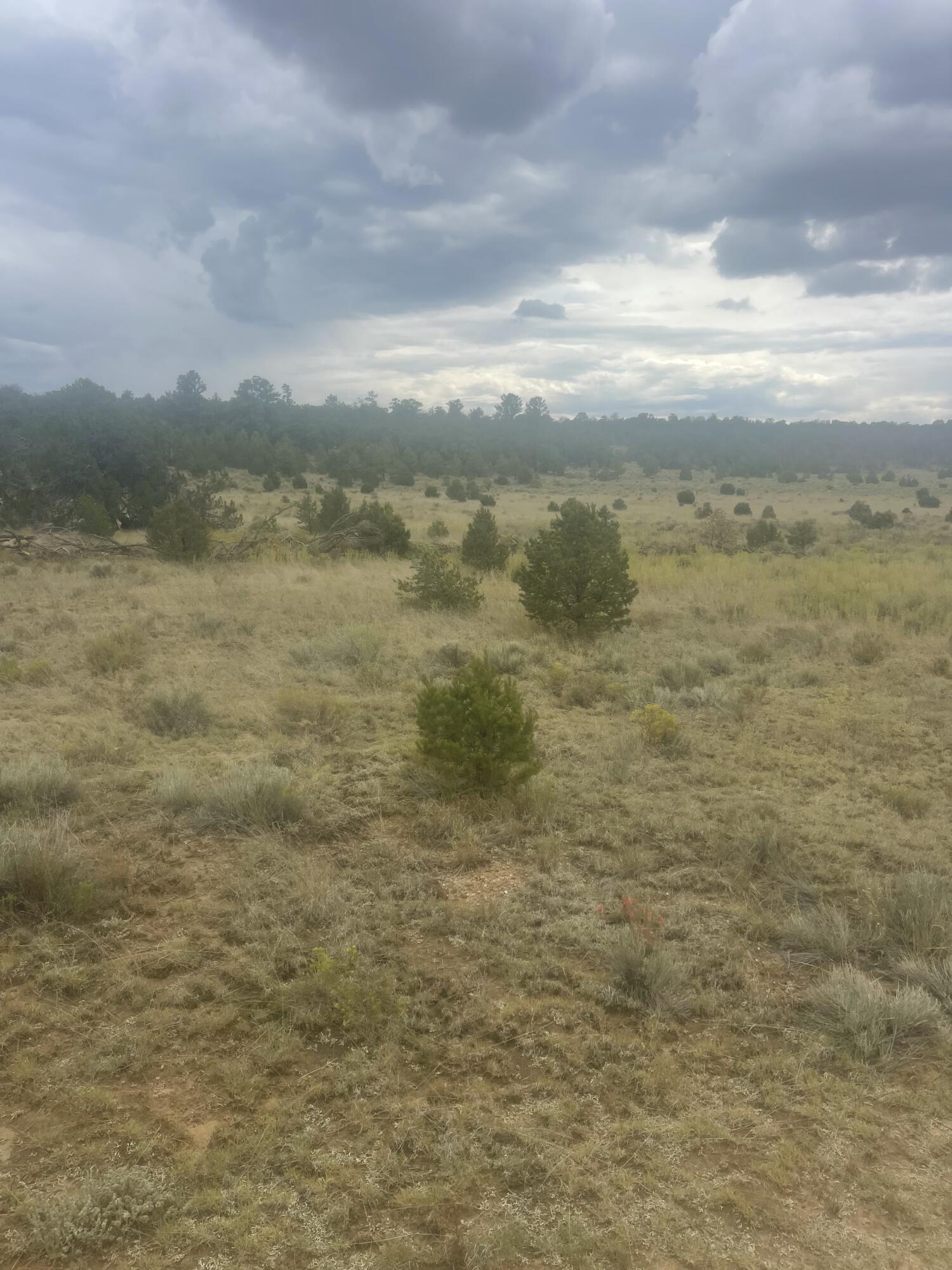Photo 8 — 9 Peaceful Drive