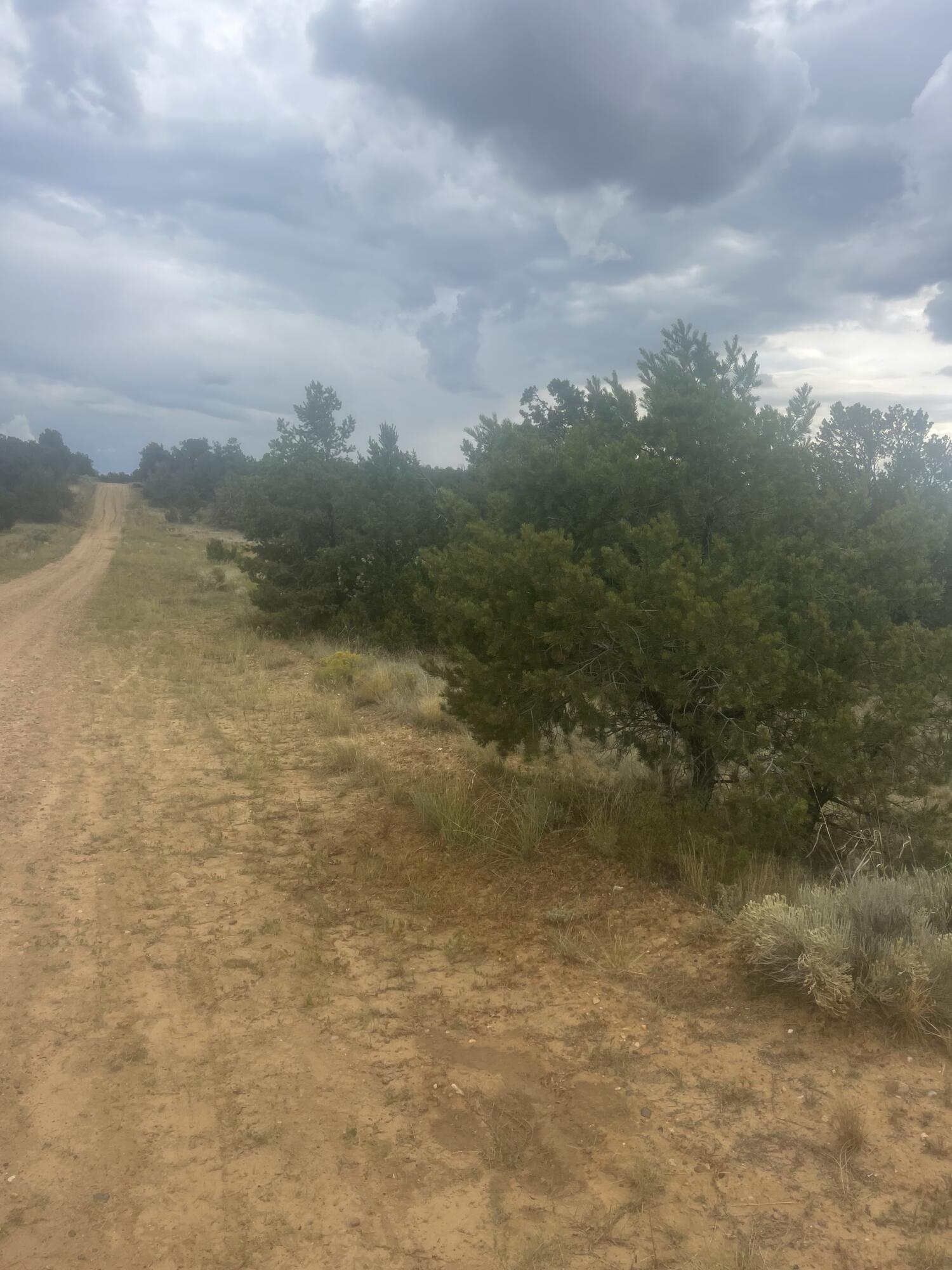 Photo 5 — 9 Peaceful Drive