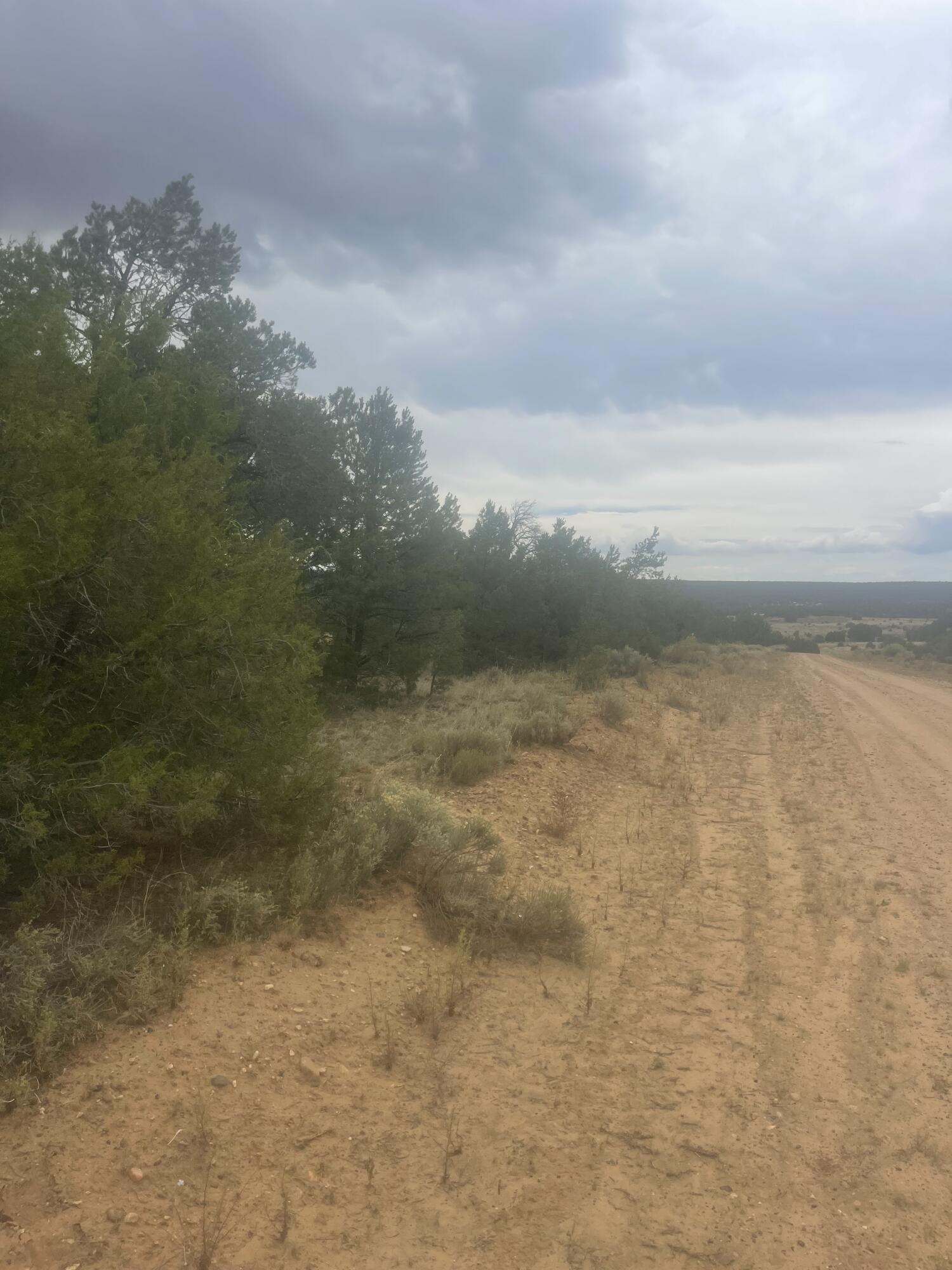 Photo 4 — 9 Peaceful Drive