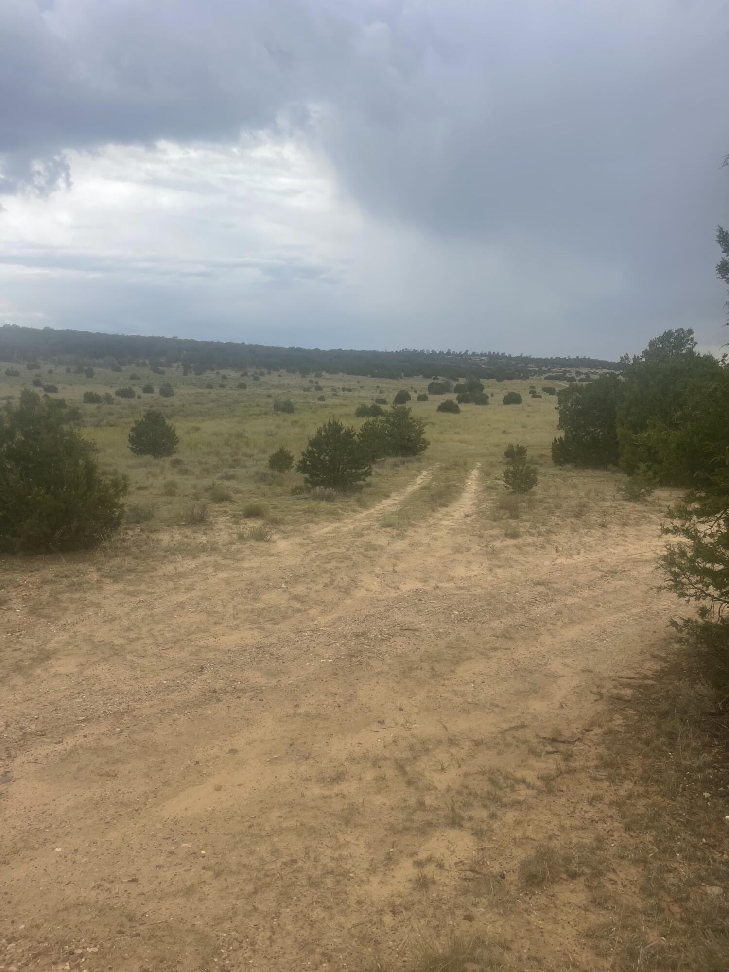 Photo 3 — 9 Peaceful Drive