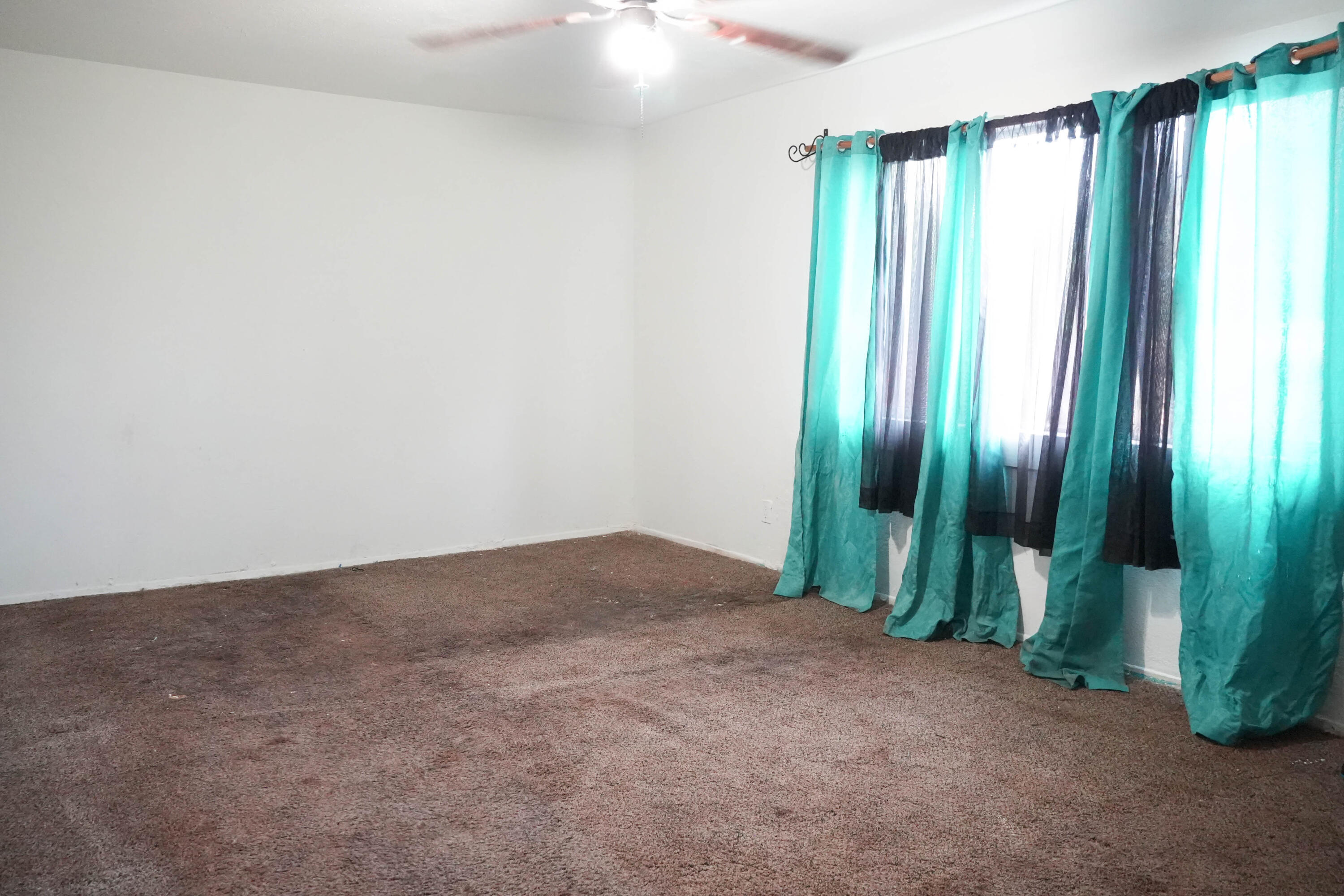 Photo 20 — 4 Reubens Road