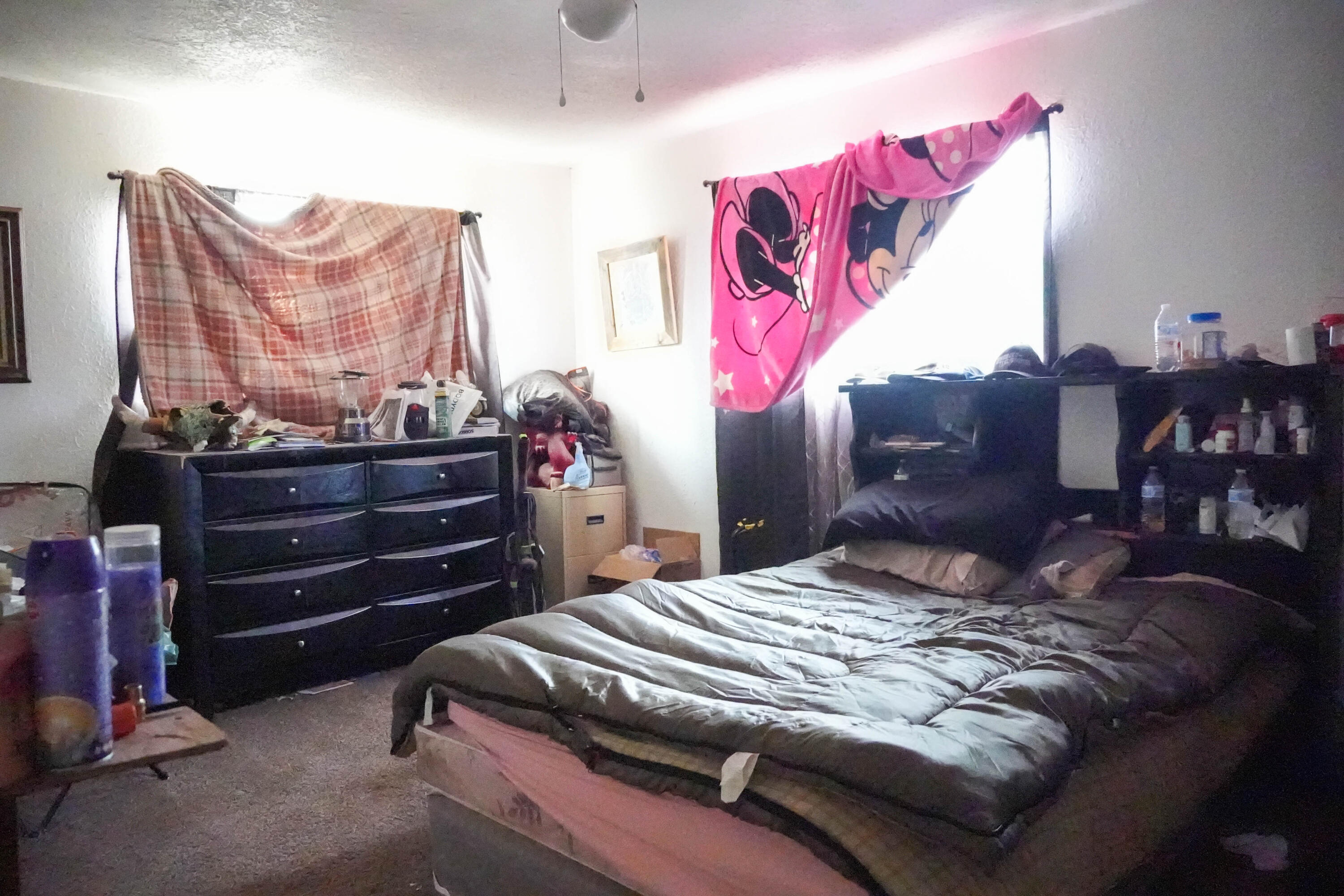 Photo 15 — 4 Reubens Road