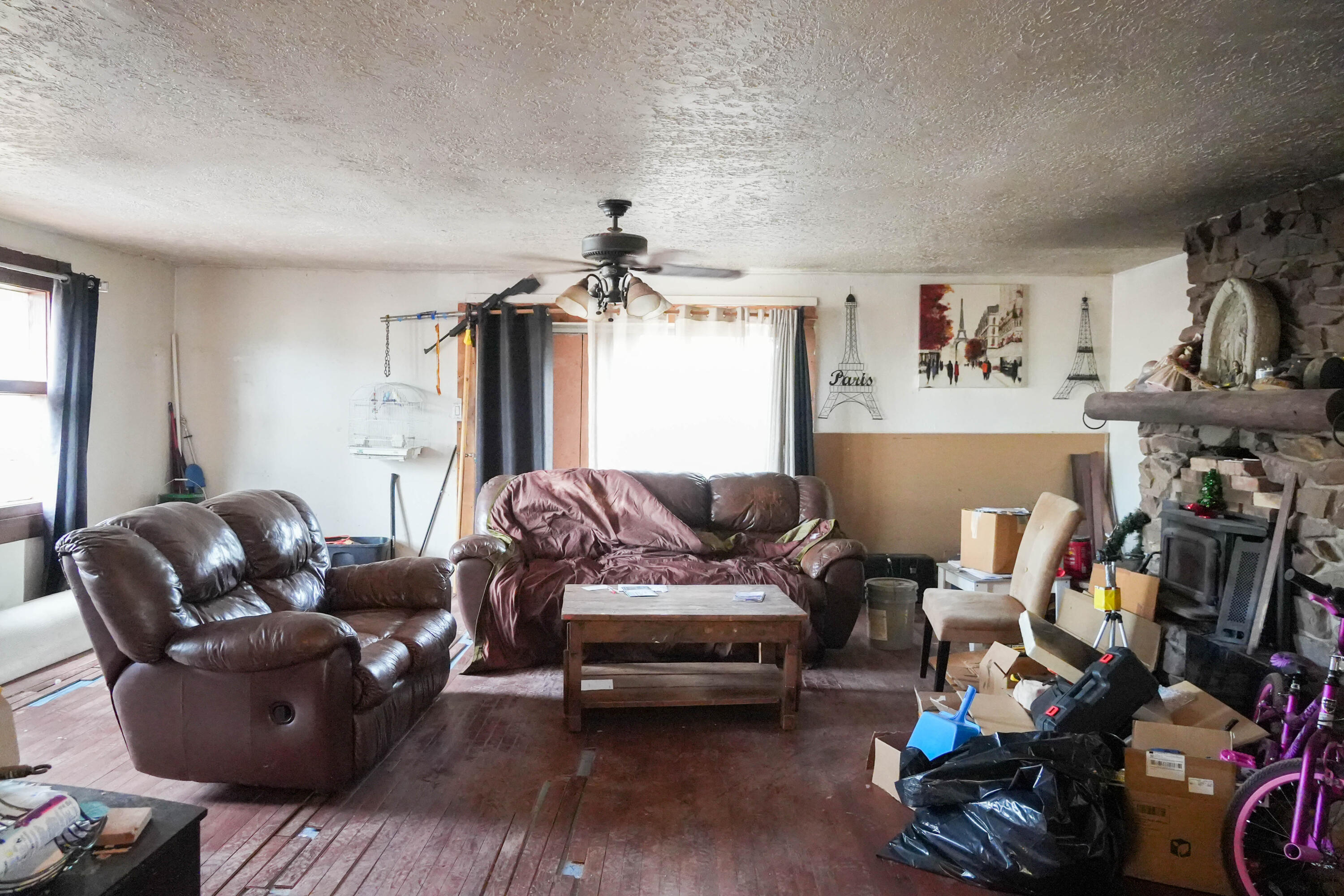Photo 12 — 4 Reubens Road