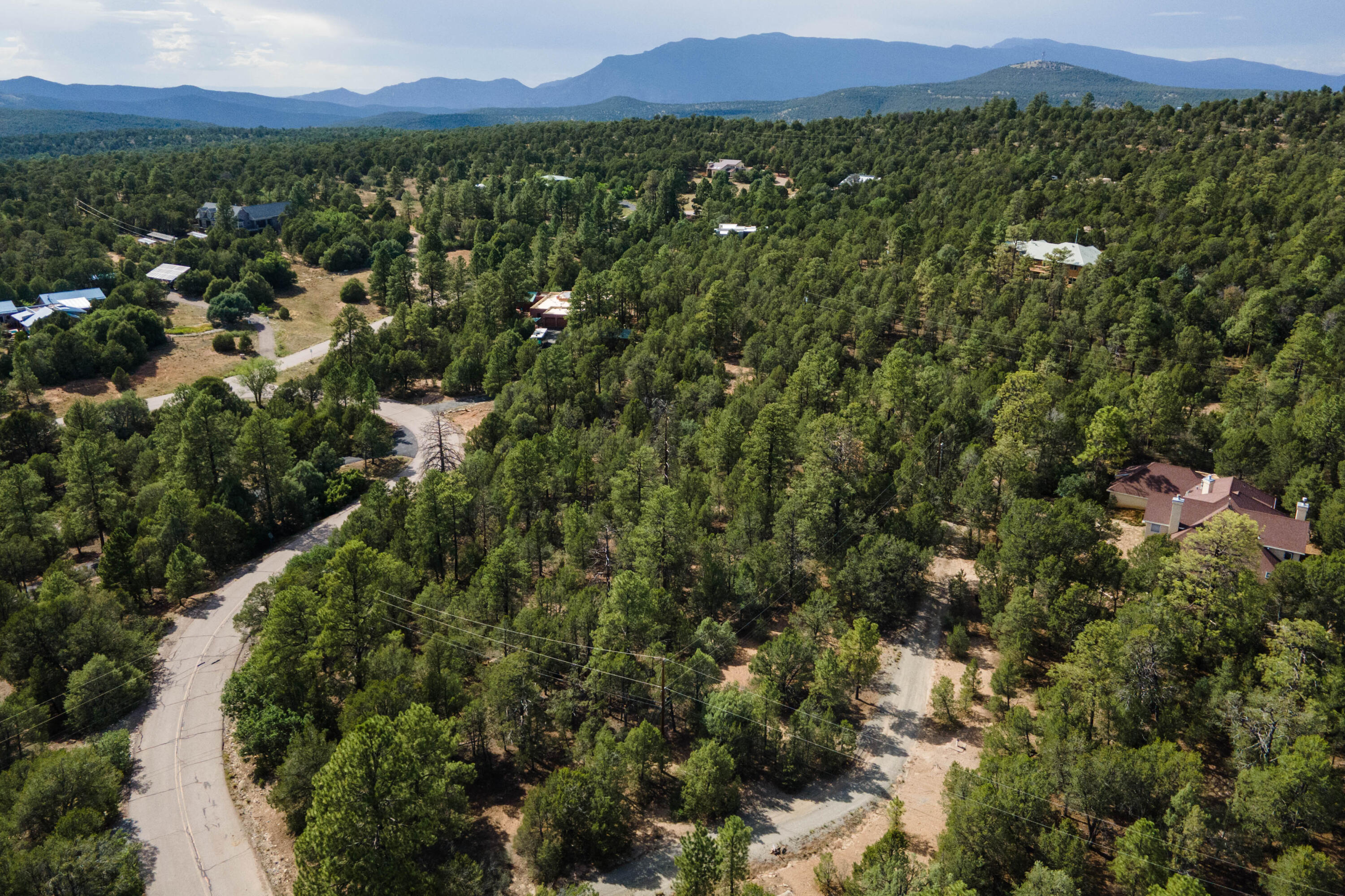 Photo 3 — 5 Stevenwald Road
