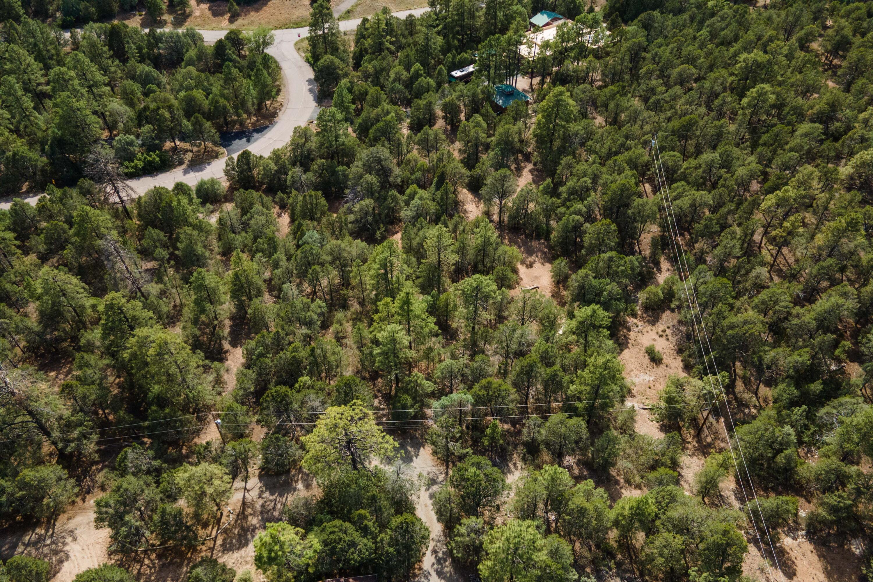 Photo 4 — 5 Stevenwald Road