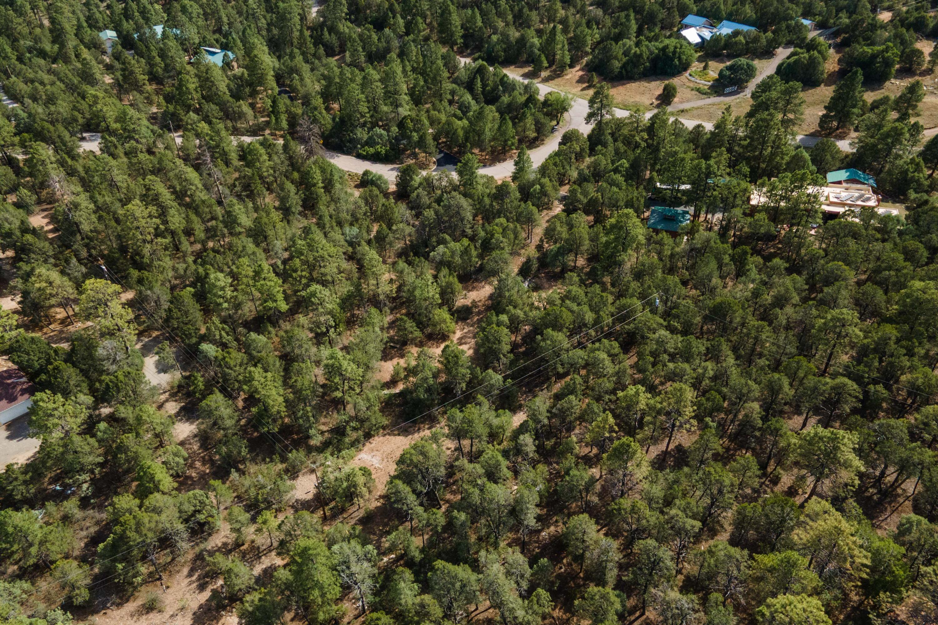 Photo 5 — 5 Stevenwald Road