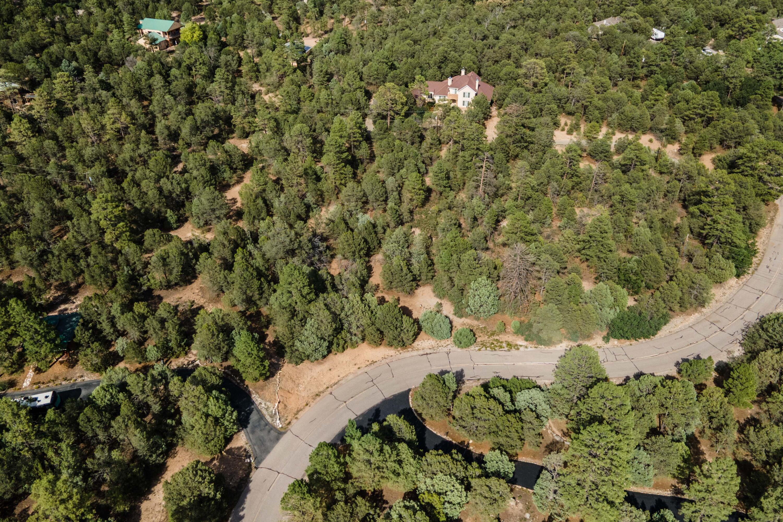Photo 7 — 5 Stevenwald Road