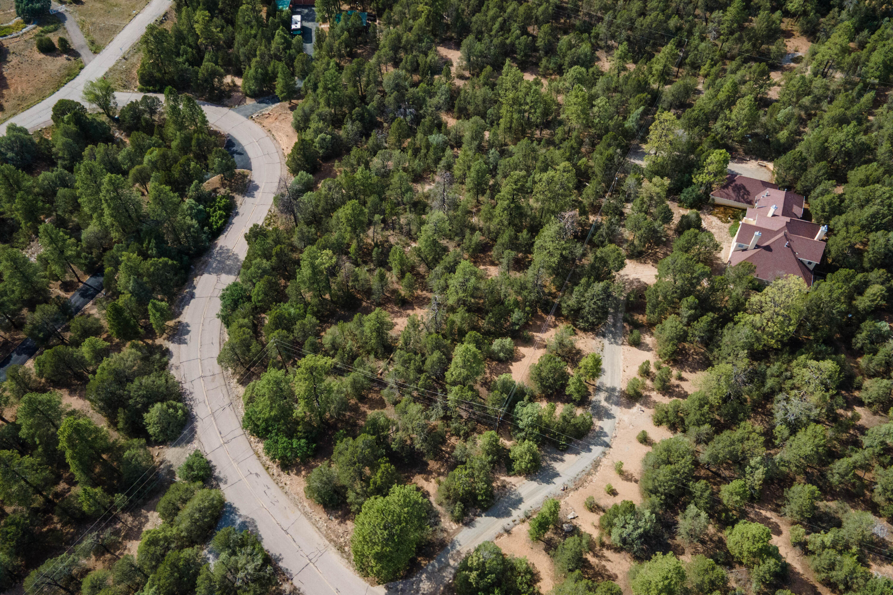 Photo 8 — 5 Stevenwald Road