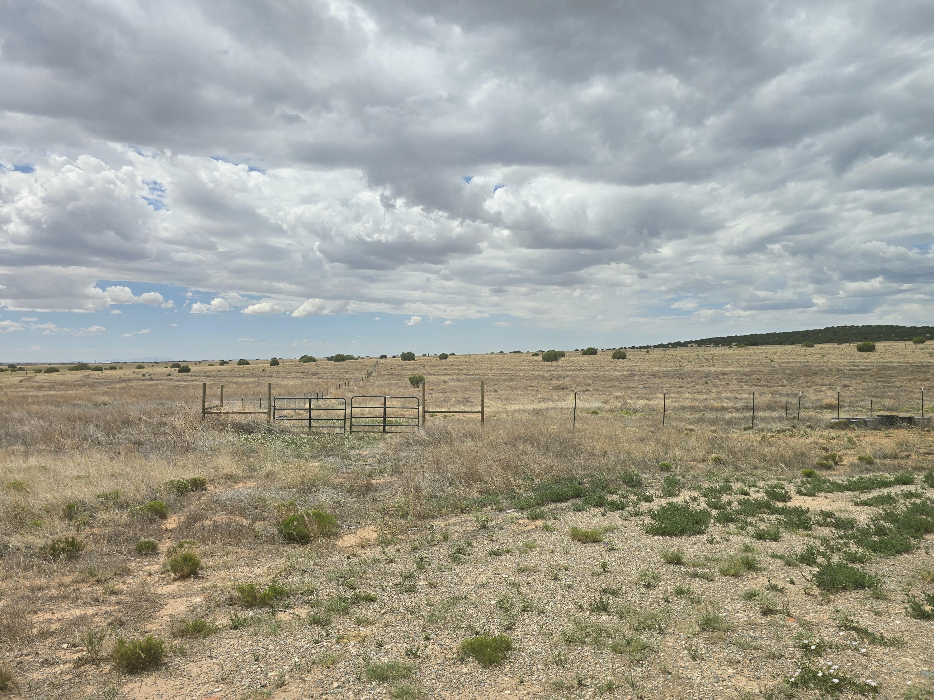 Photo 10 — 32 Adams Lane