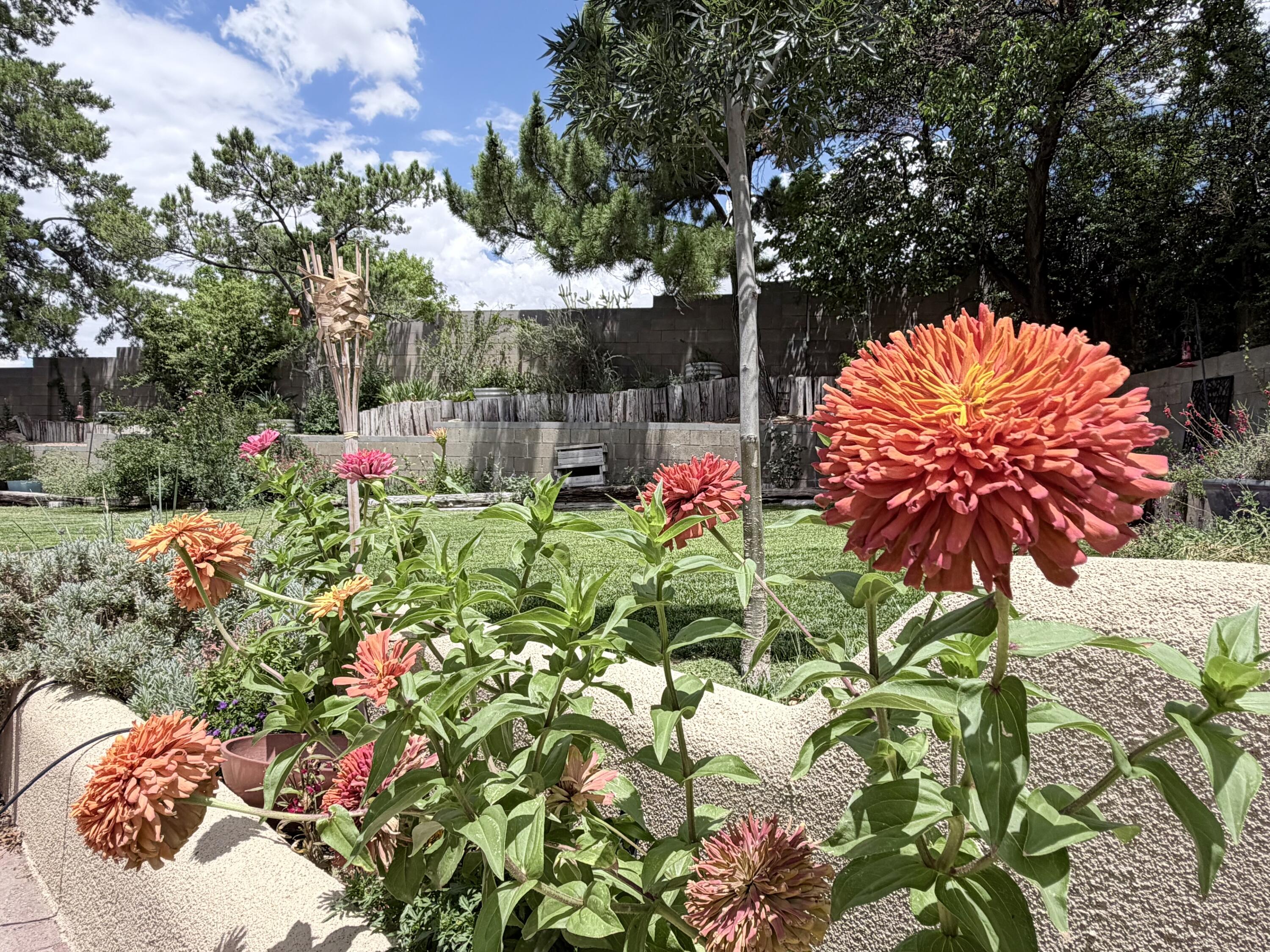 Photo 16 — 2524 Madre Drive NE