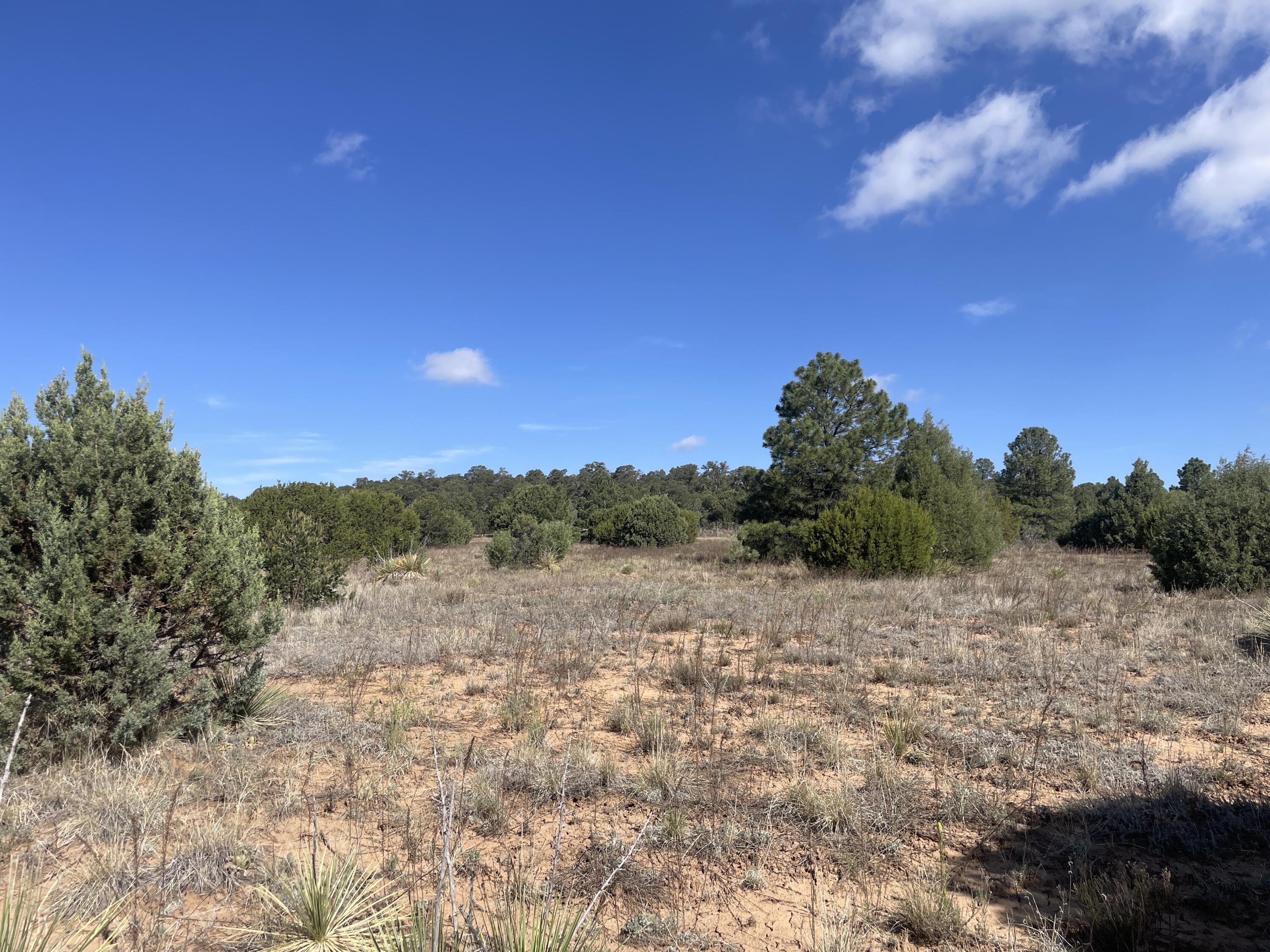 119 Anaya Road, Tijeras, NM 87059