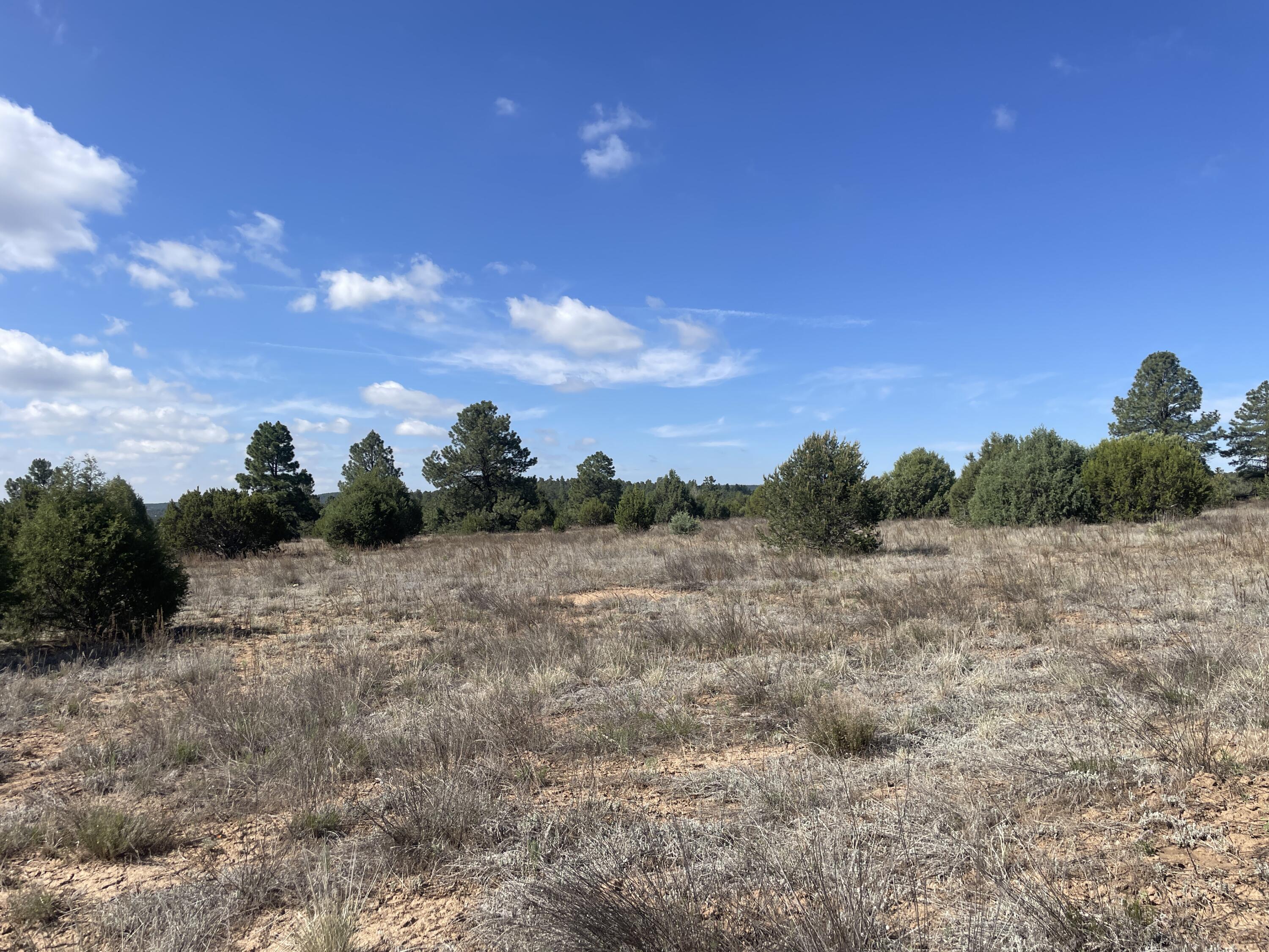 Photo 4 — 119 Anaya Road