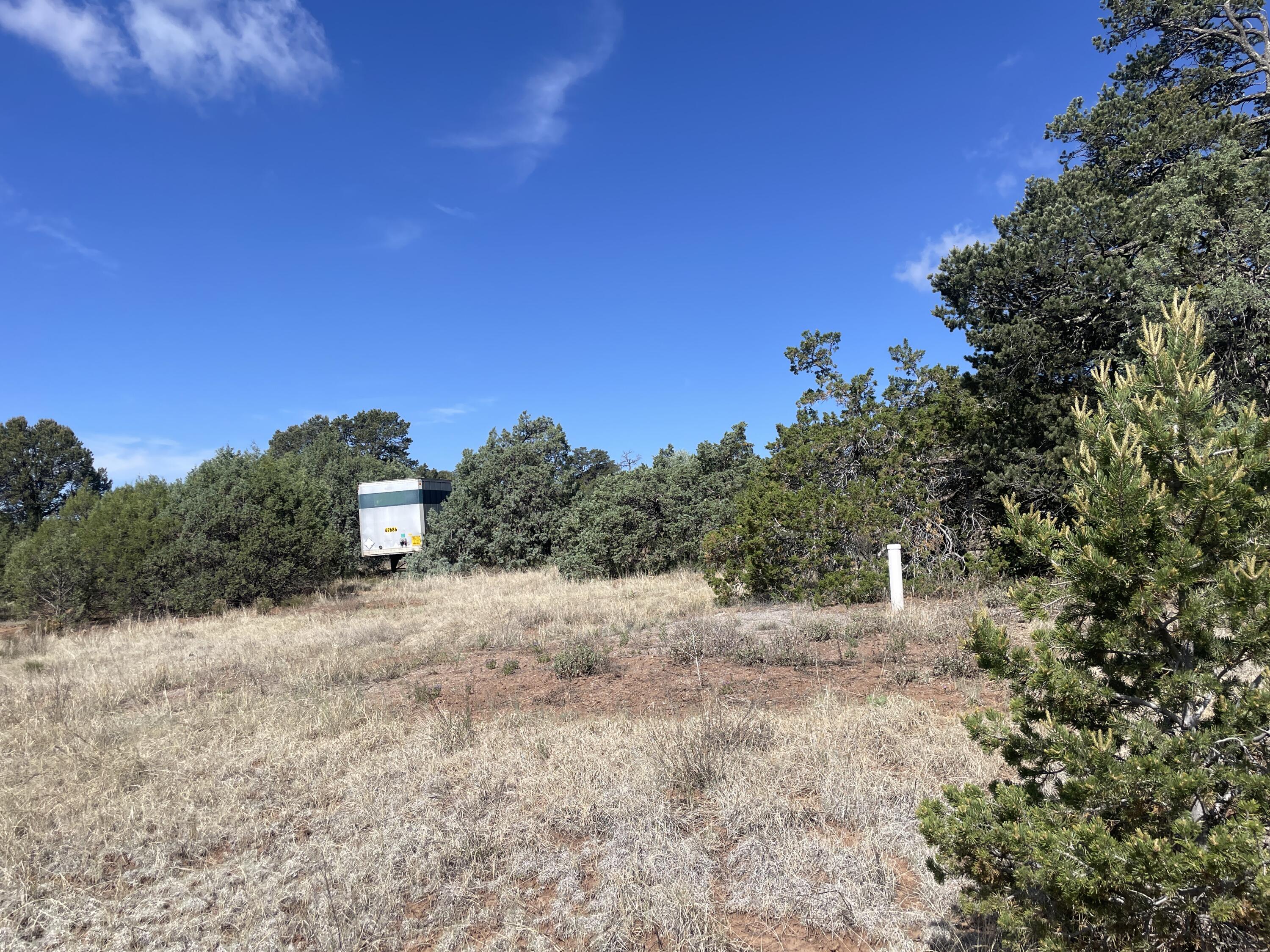 Photo 12 — 119 Anaya Road