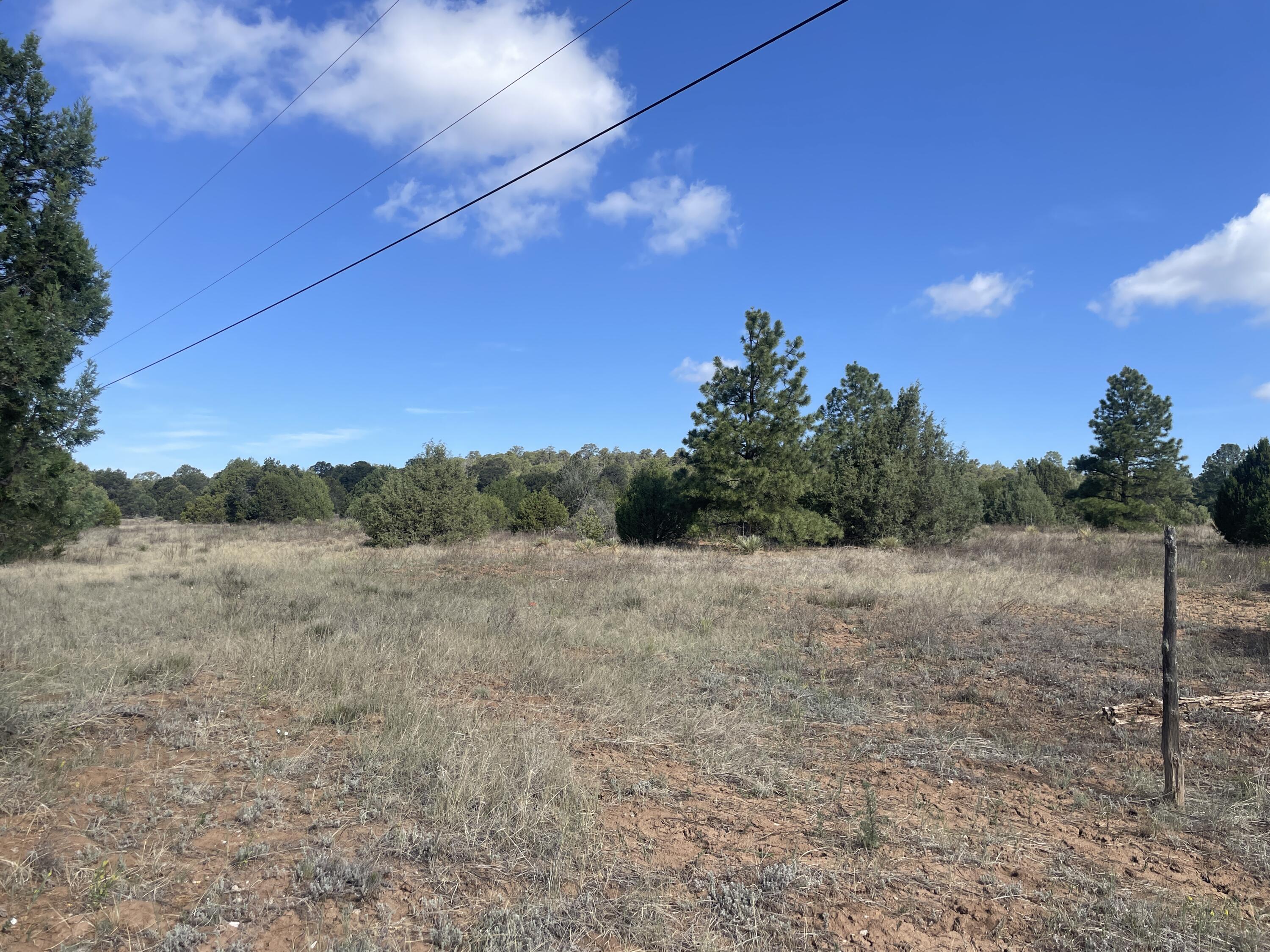Photo 18 — 119 Anaya Road