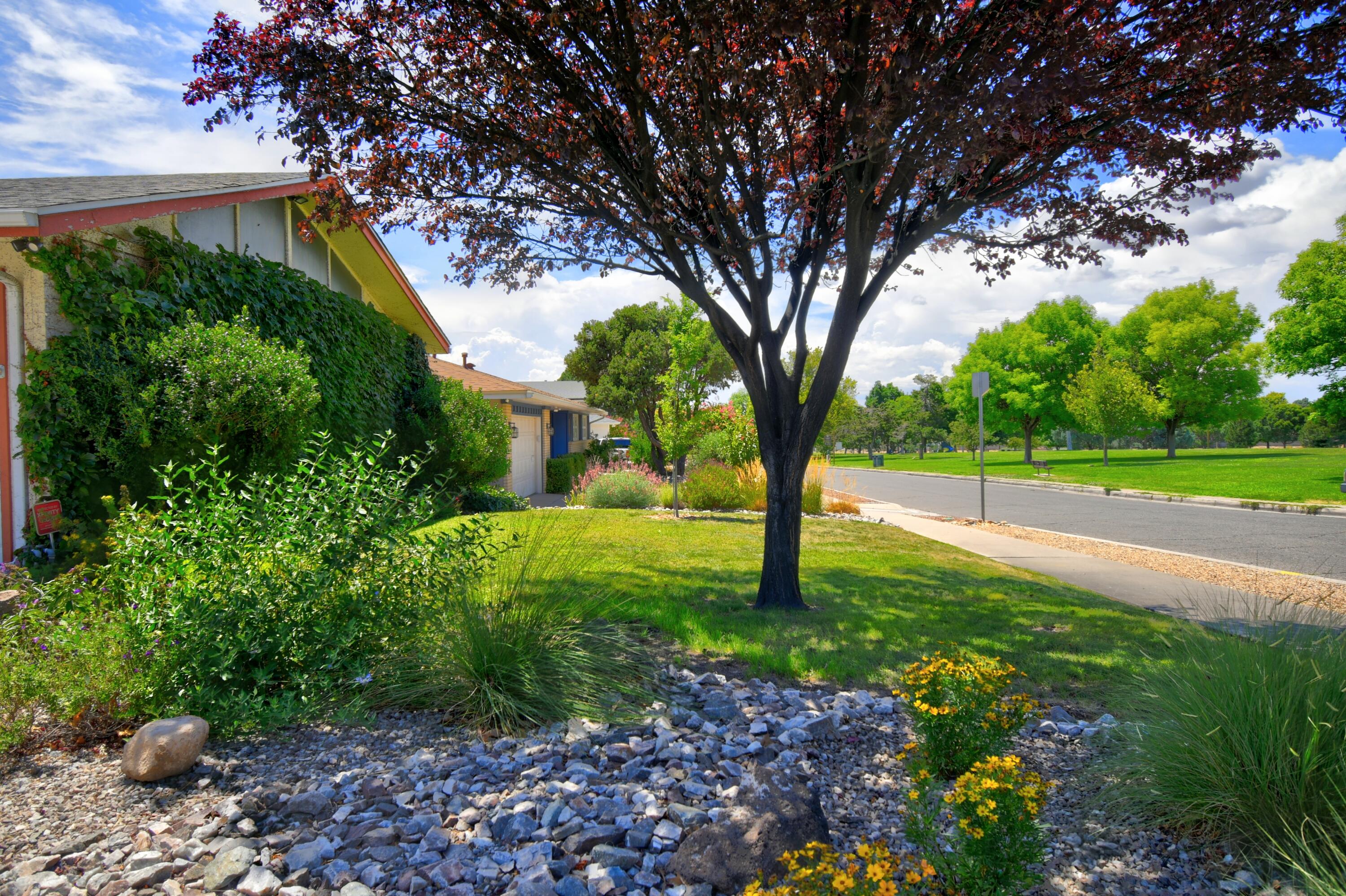 Photo 4 — 7516 Bellrose Avenue NE