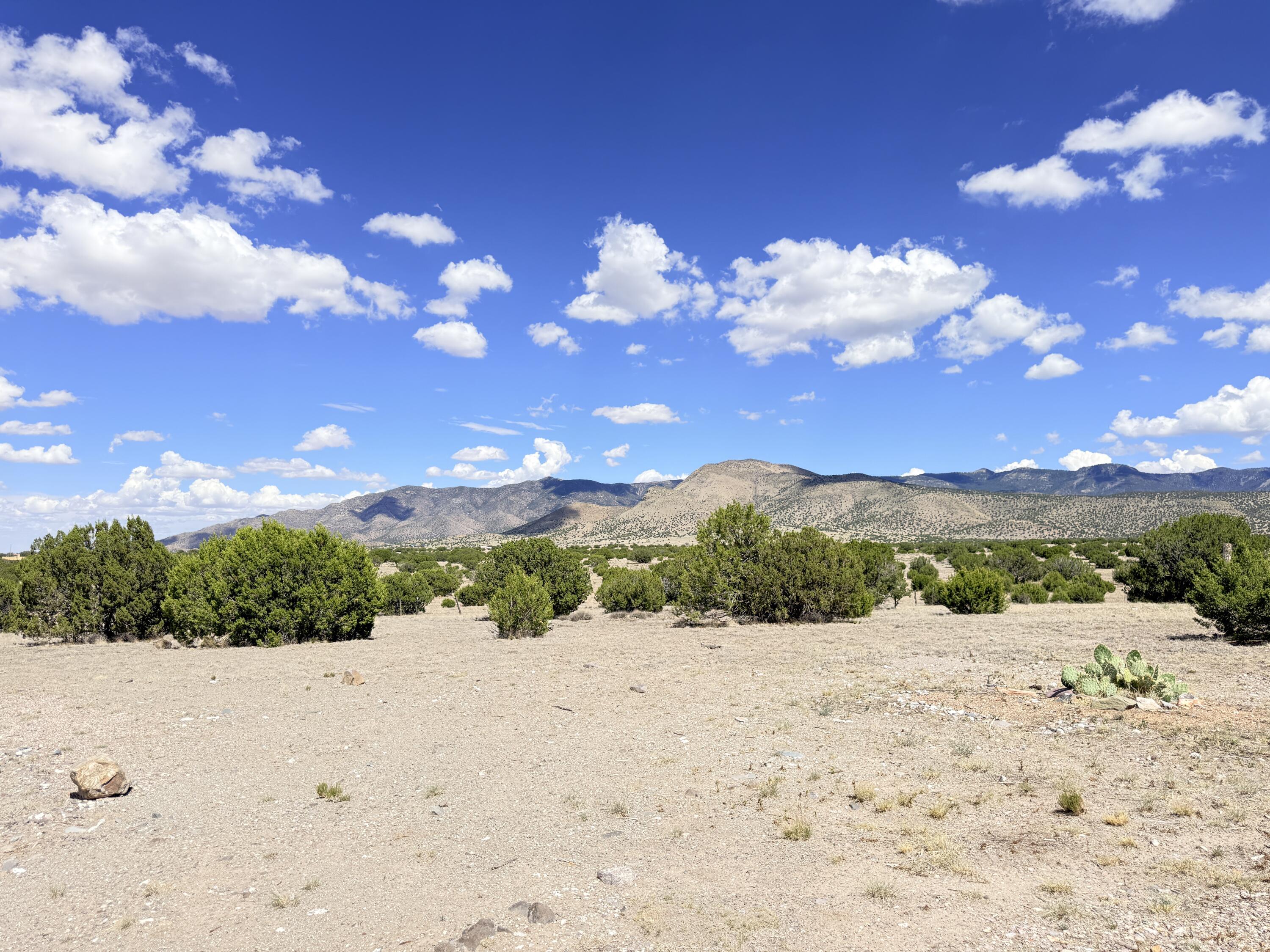 Photo 18 — 32 Brahman Road