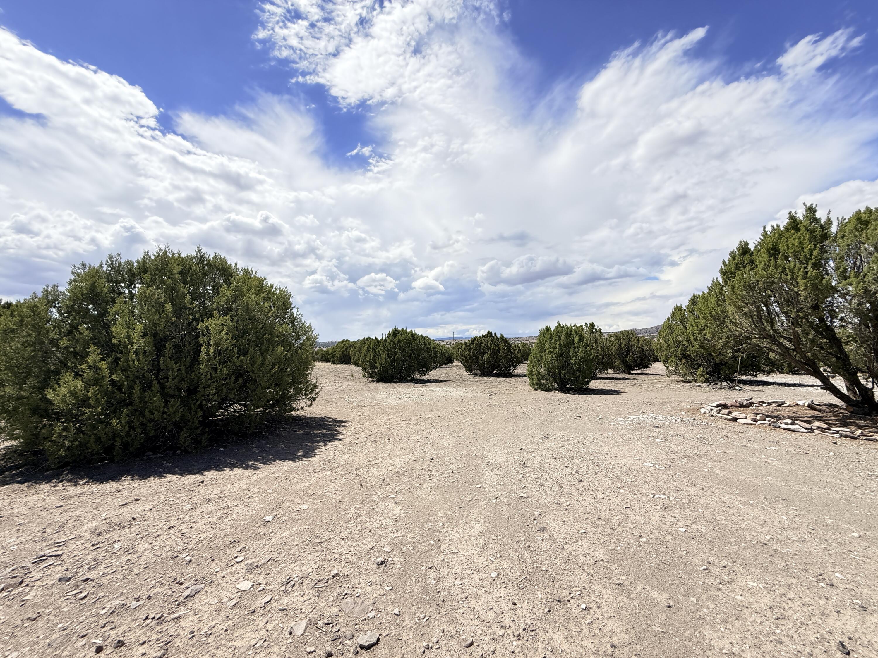 Photo 17 — 32 Brahman Road