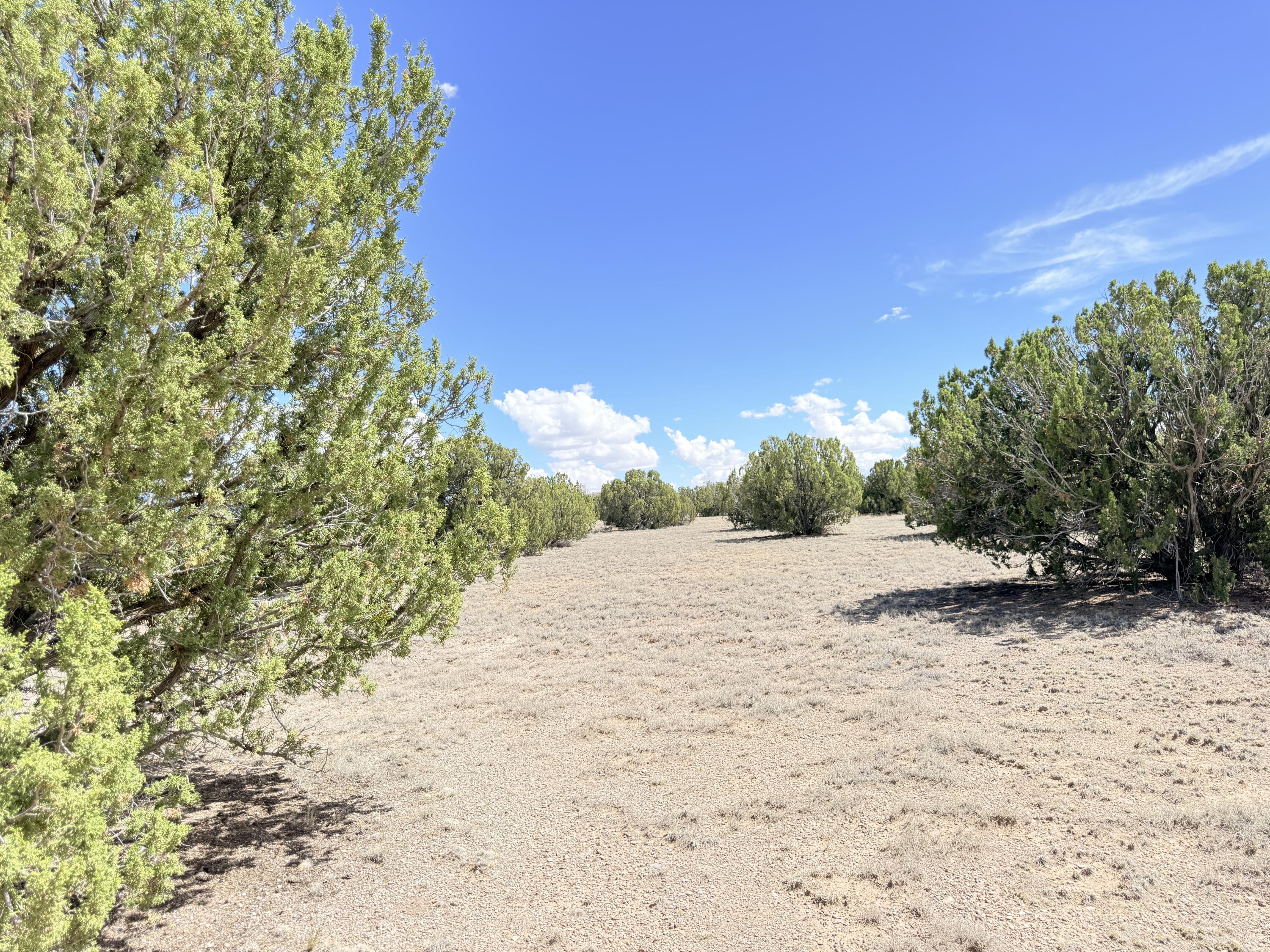 Photo 16 — 32 Brahman Road