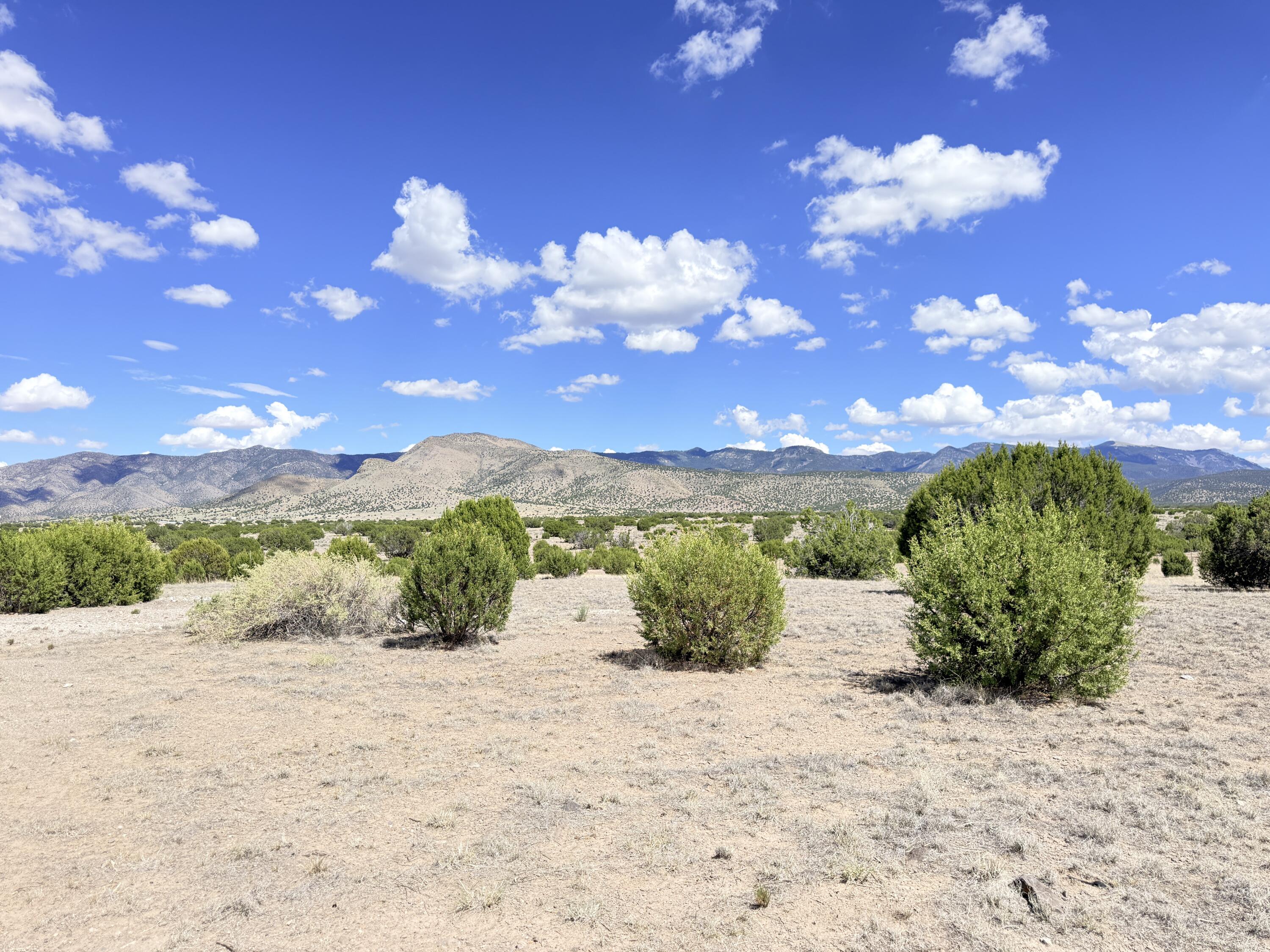 Photo 14 — 32 Brahman Road