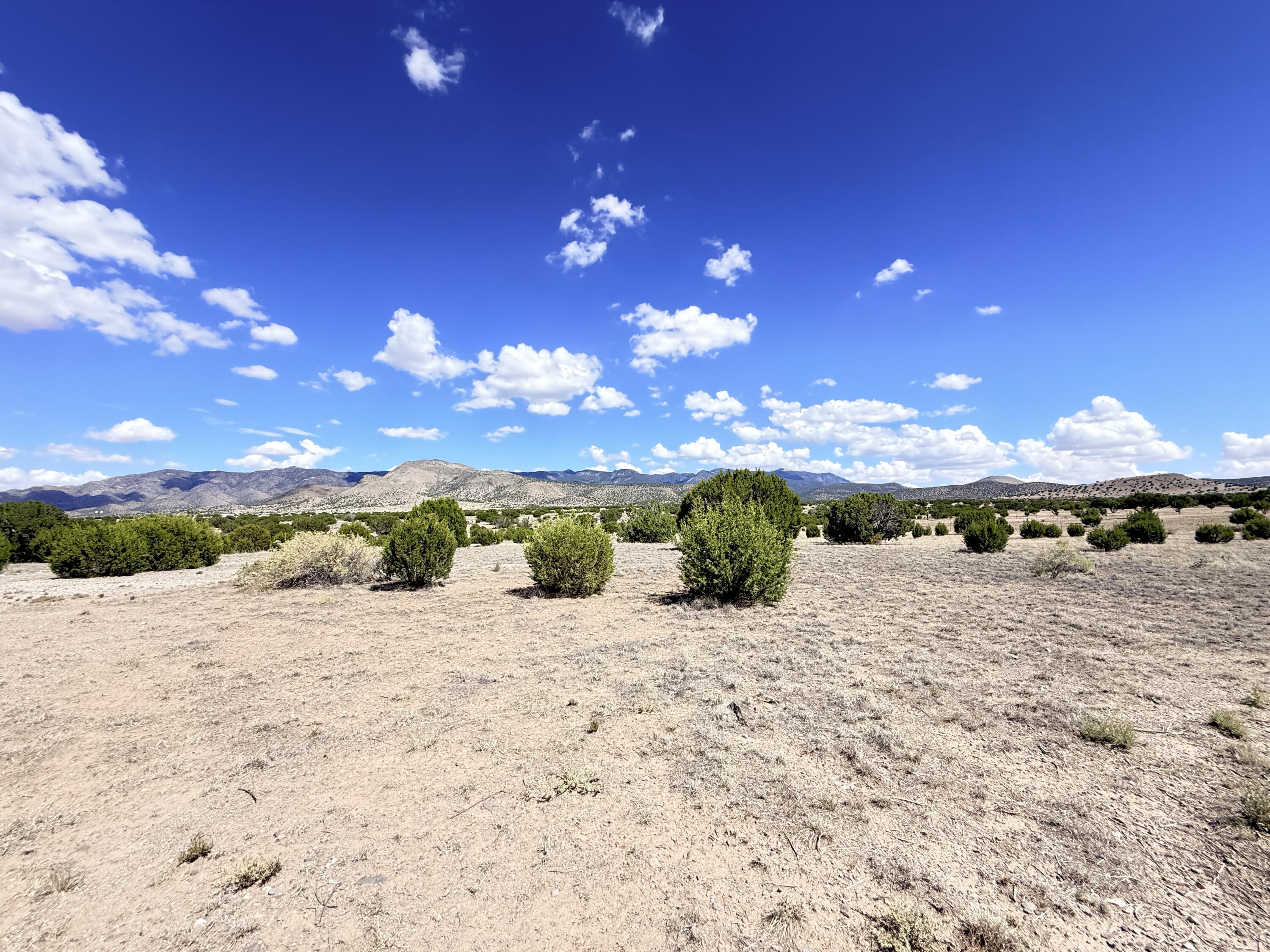 Photo 13 — 32 Brahman Road