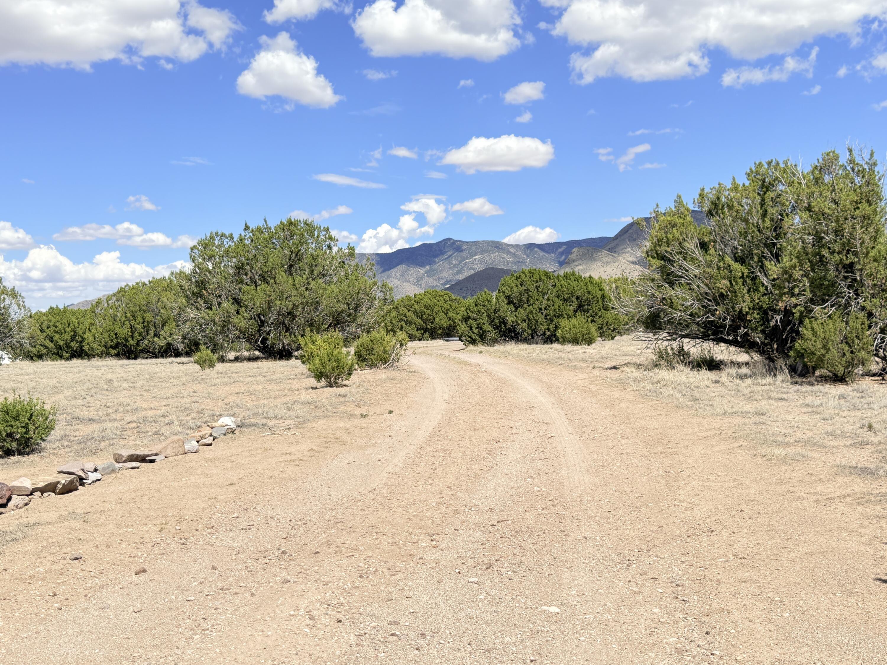 Photo 11 — 32 Brahman Road
