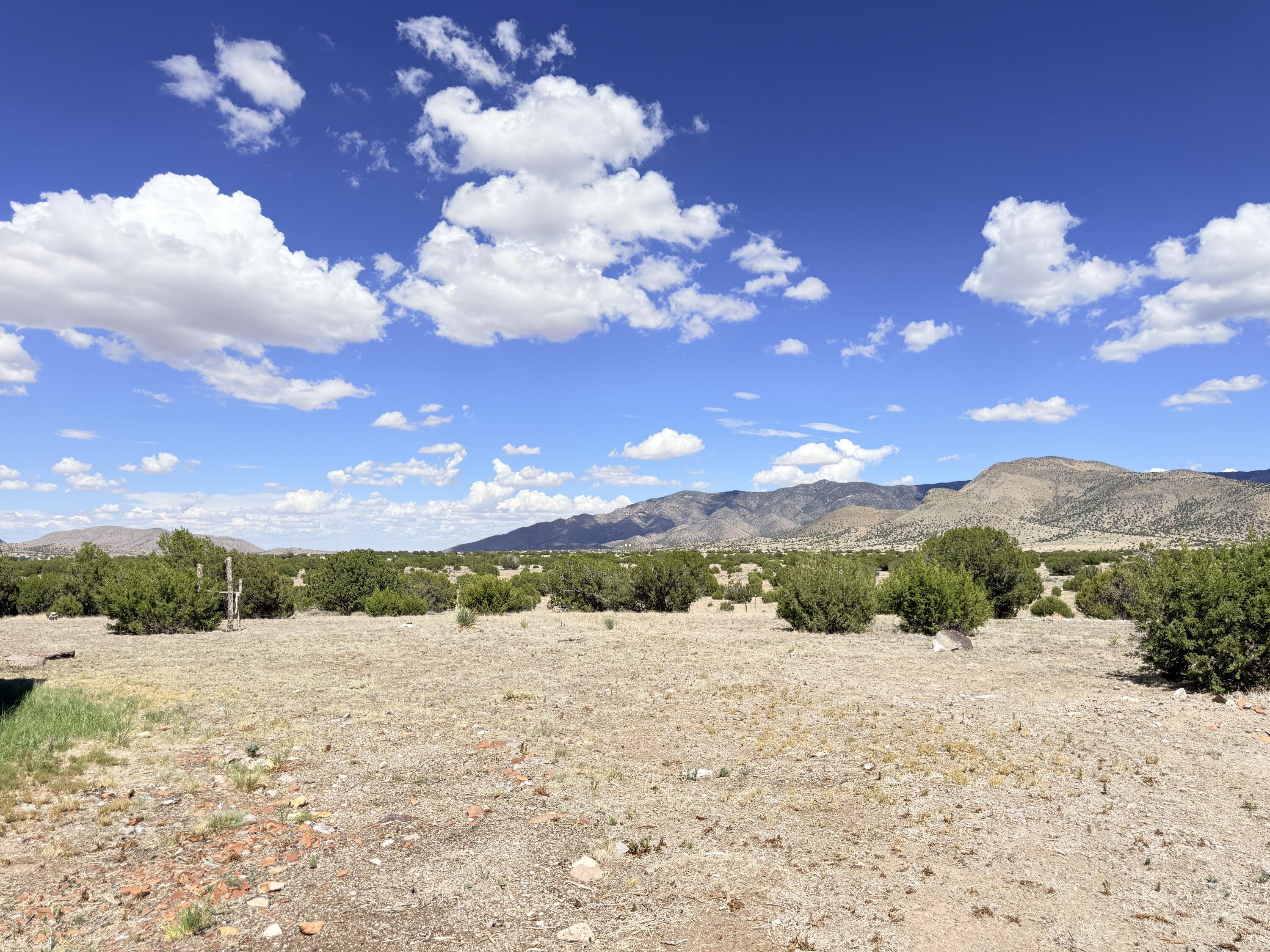 Photo 10 — 32 Brahman Road