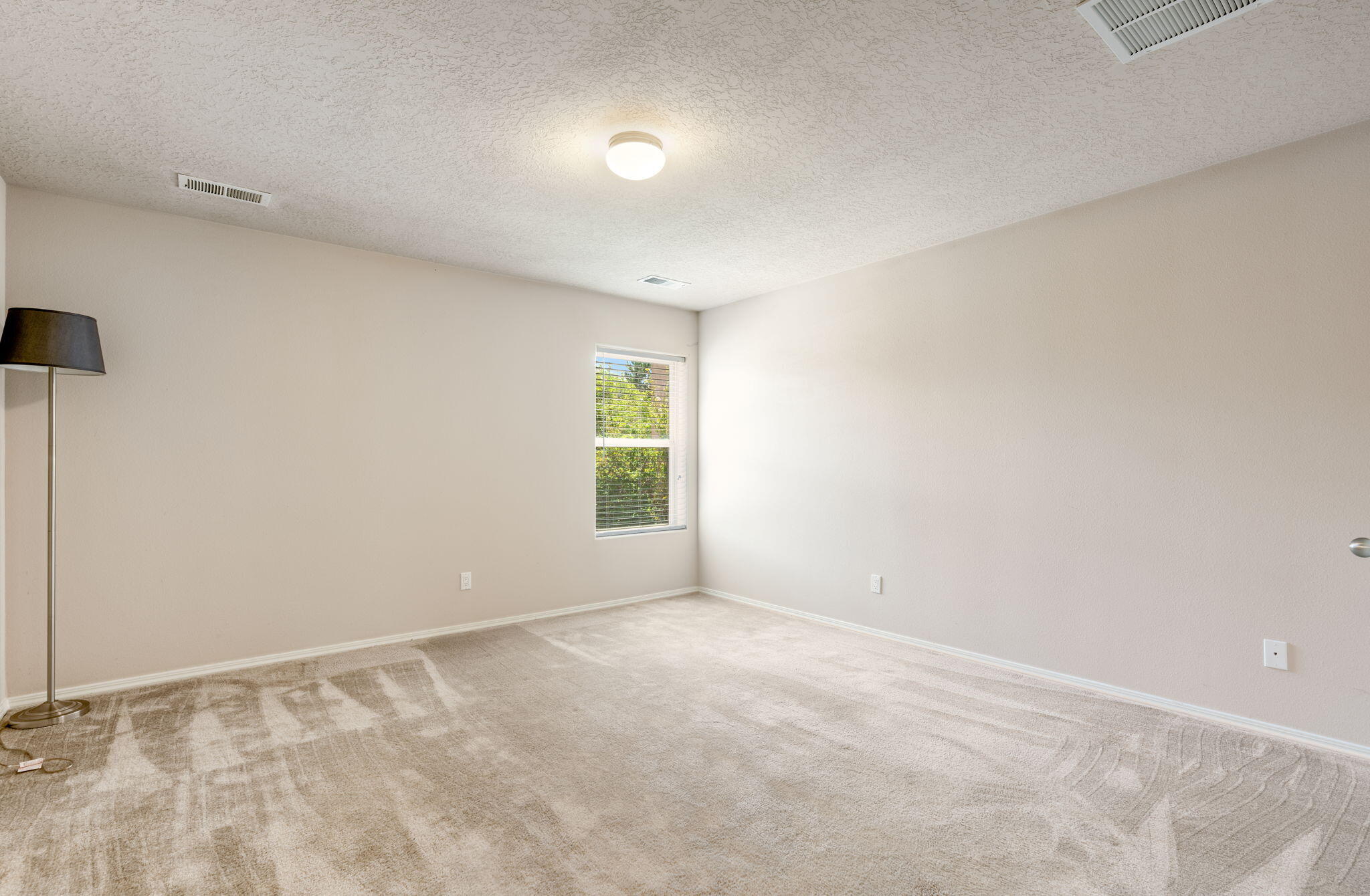 Photo 8 — 806 Vargas Drive