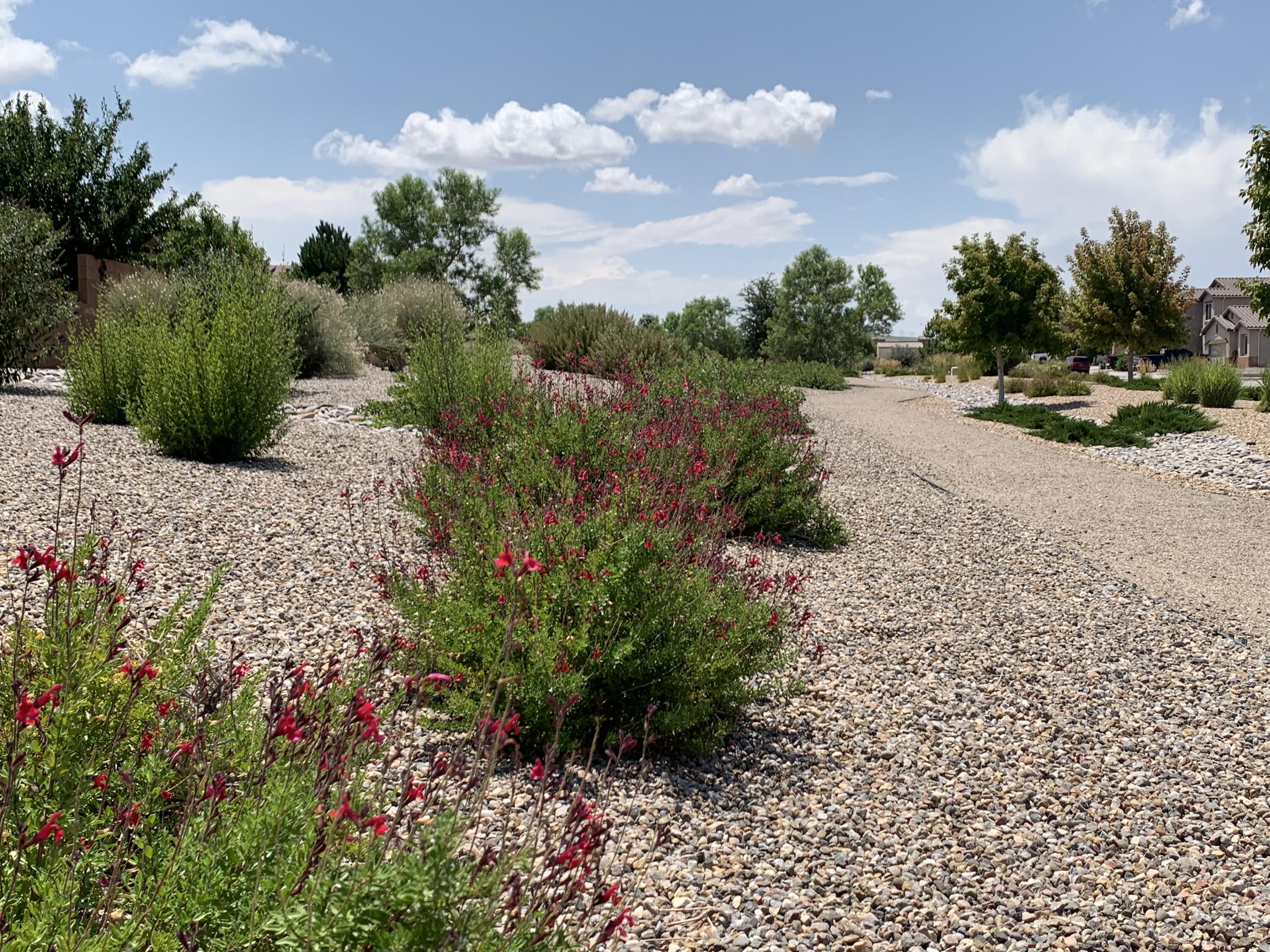 Photo 8 — 8335 Groundsel Road NW