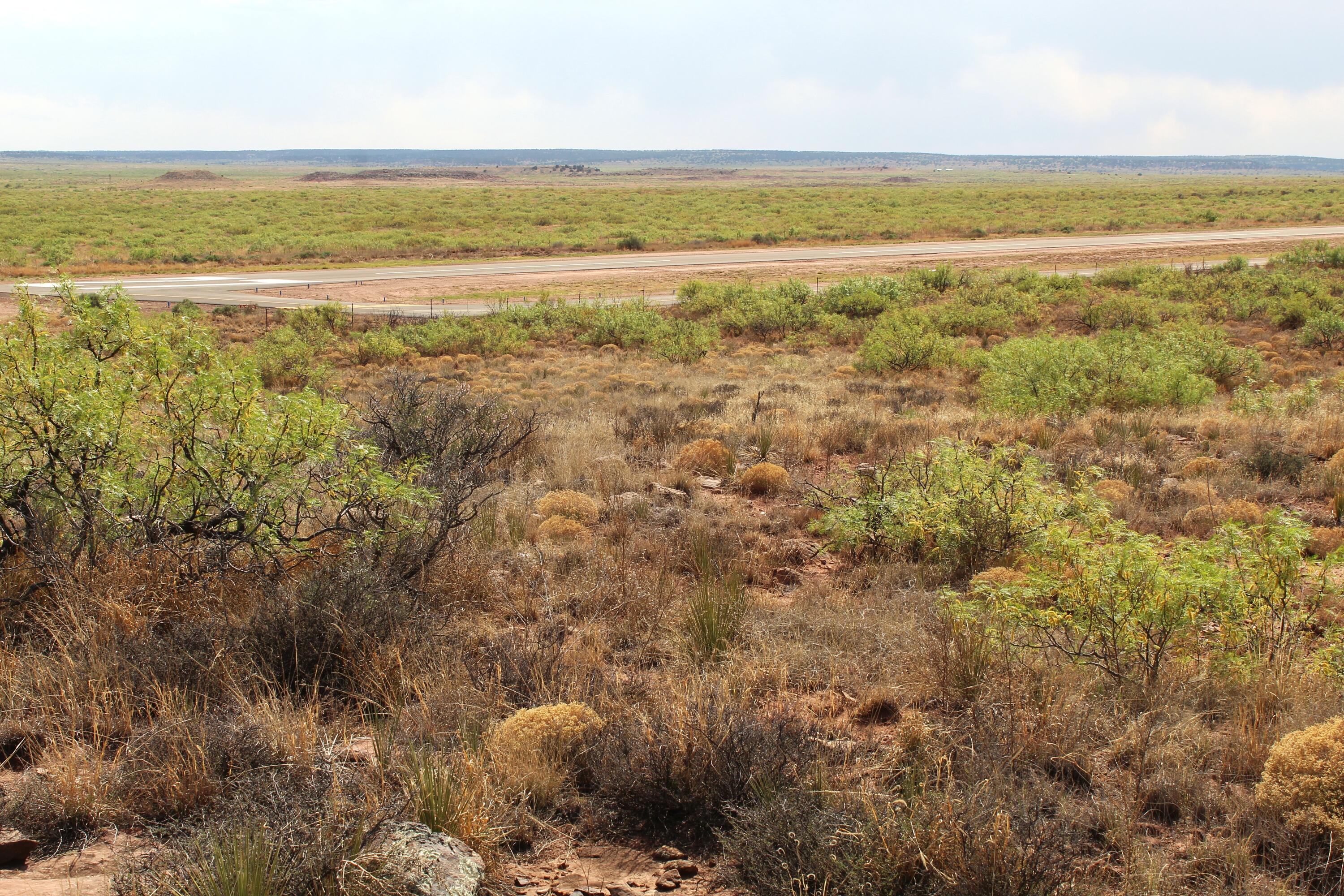 Lots 25-26 Nickel Lane, Conchas Dam, NM 88416