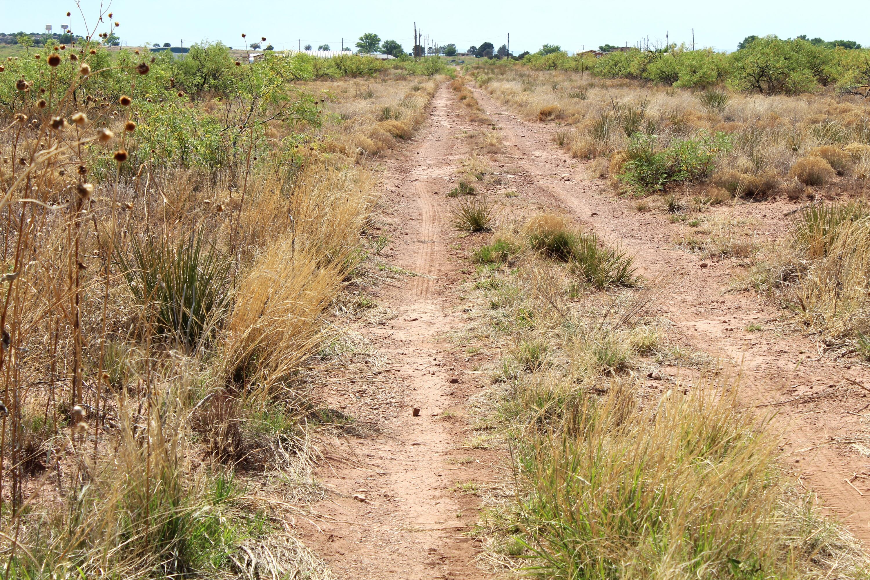 Photo 9 — Lots 25-26 Nickel Lane