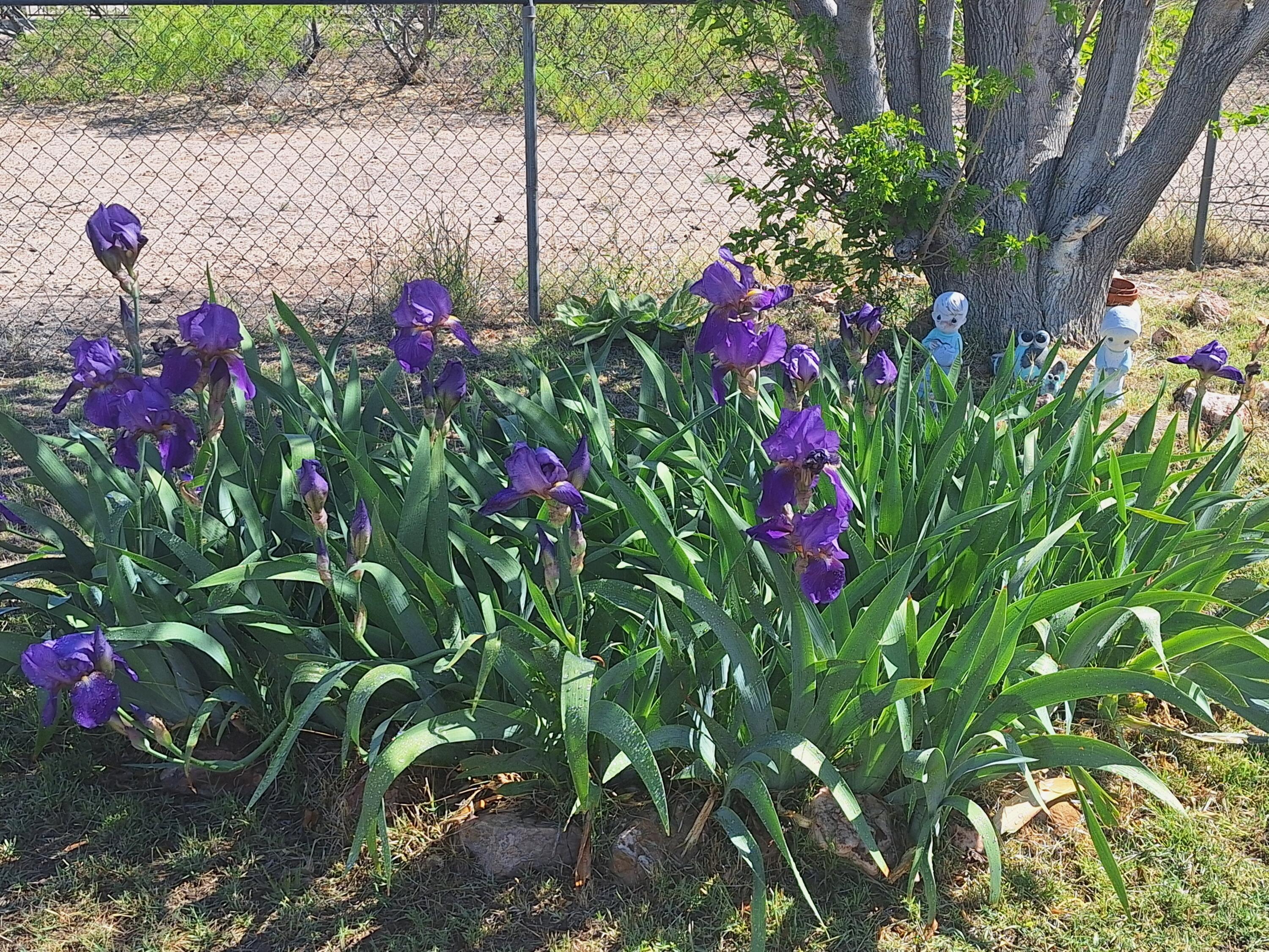 Photo 15 — 401 N Riverside Drive