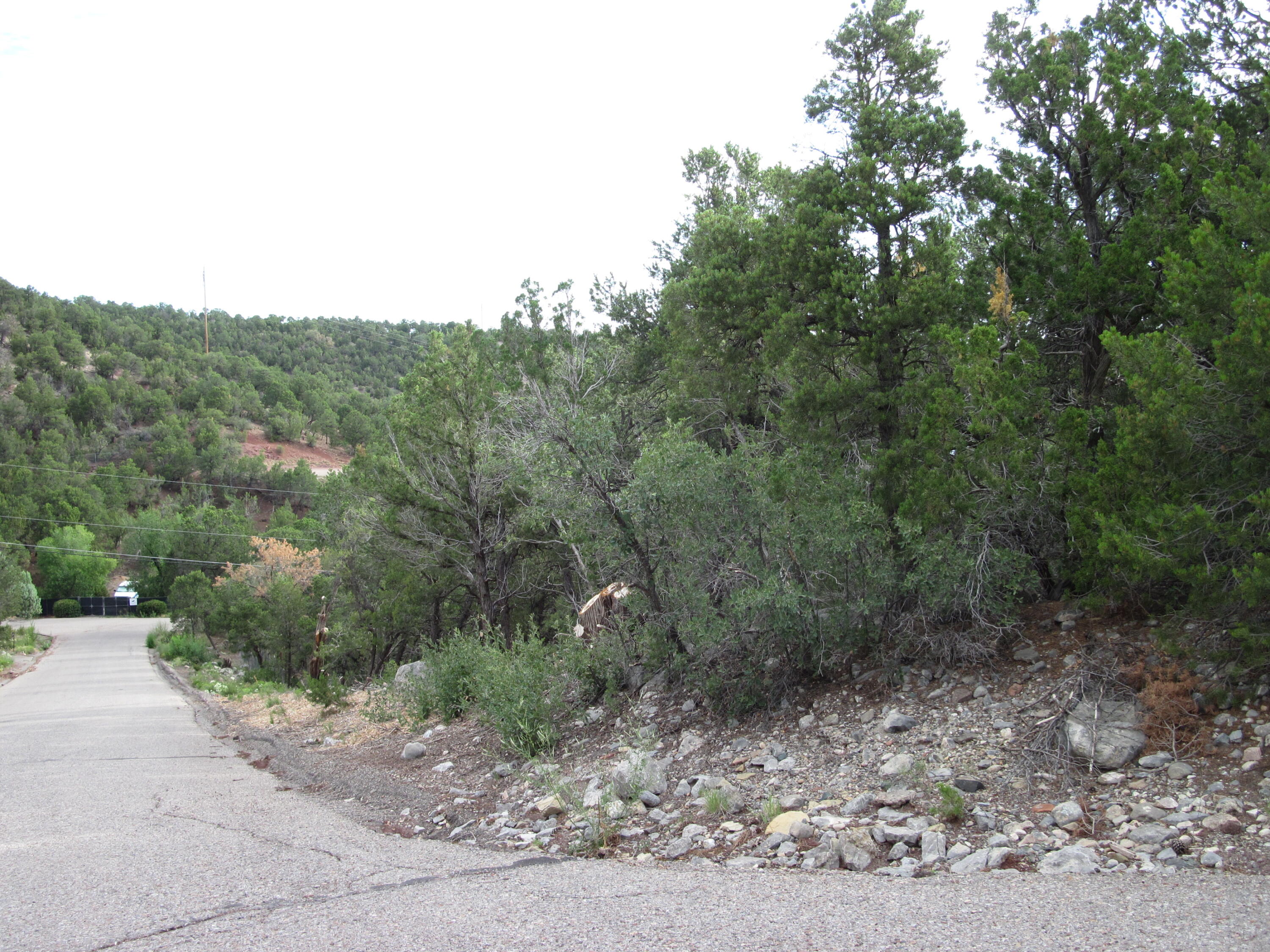 0 Beaver Lane, Cedar Crest, NM 87008