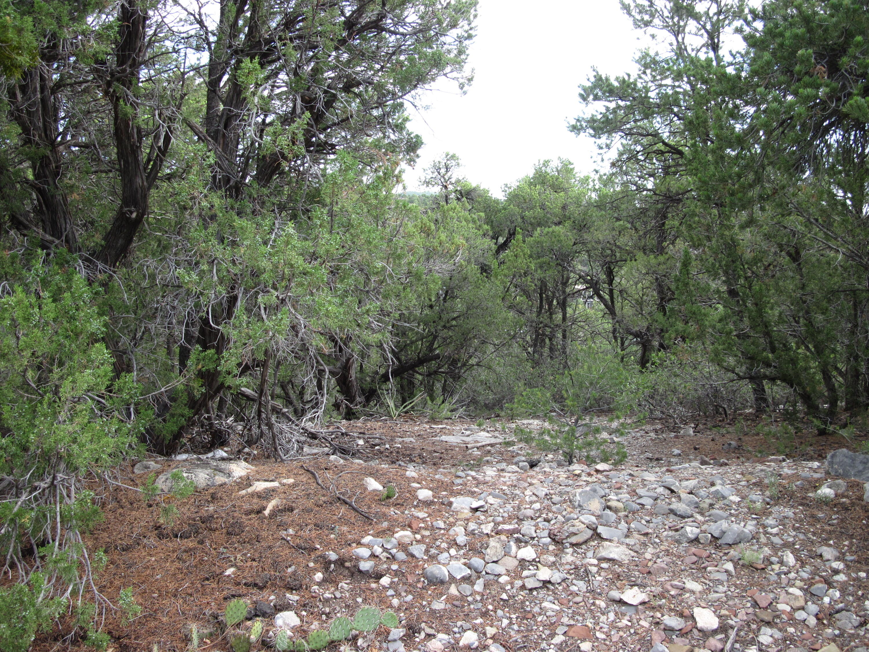Photo 5 — 0 Beaver Lane