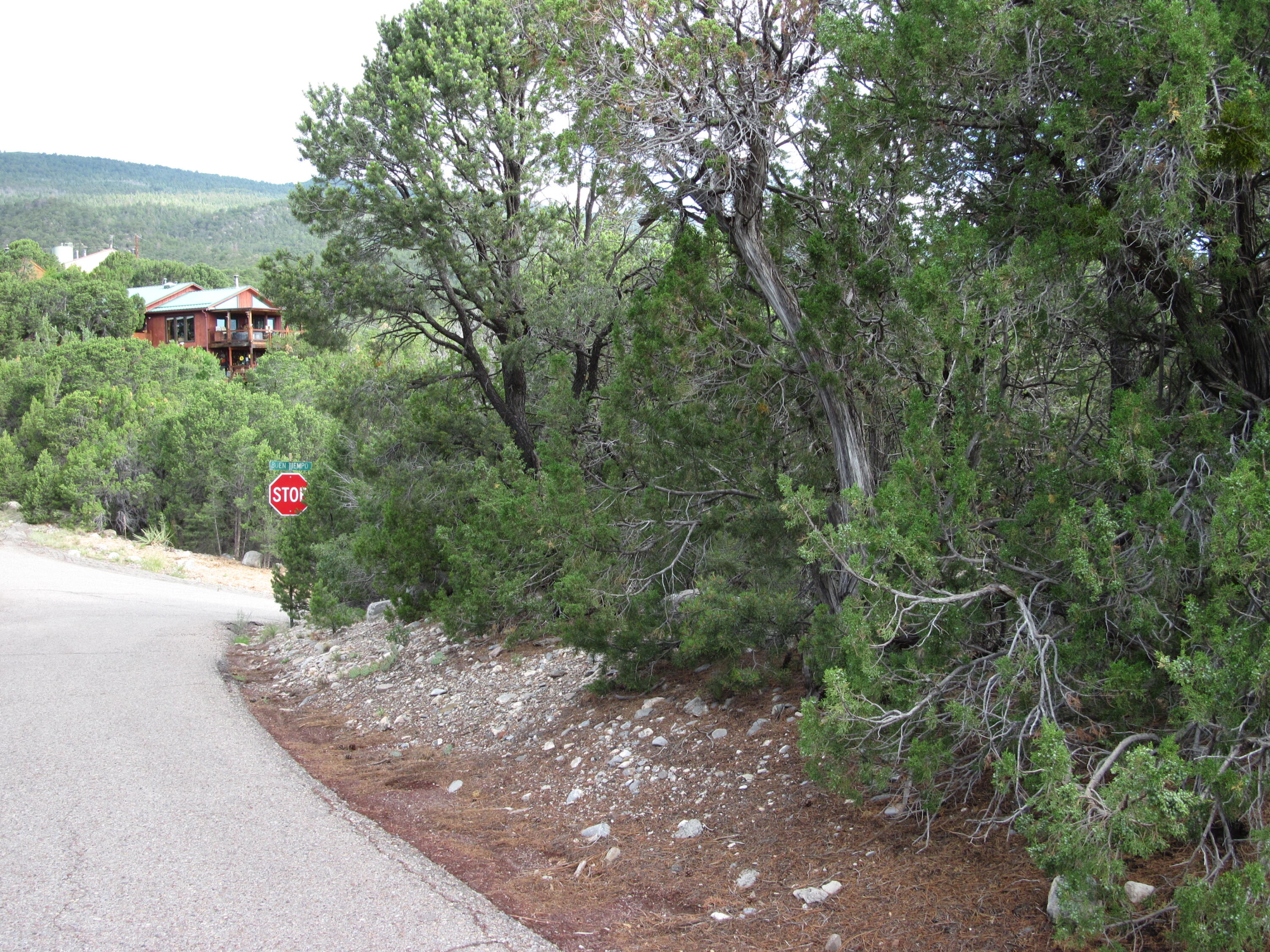 Photo 7 — 0 Beaver Lane