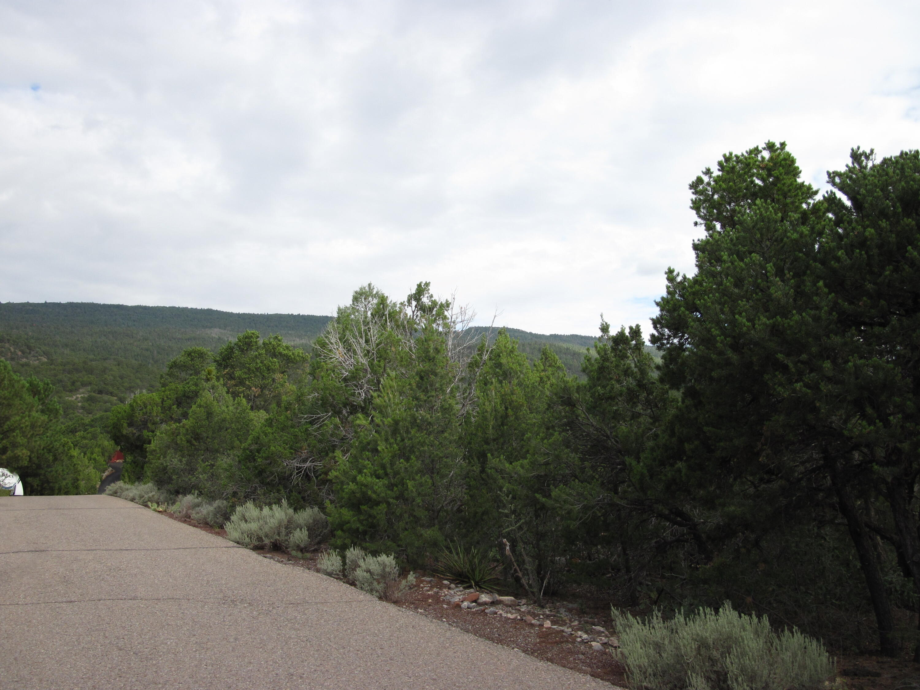 Photo 8 — 0 Beaver Lane