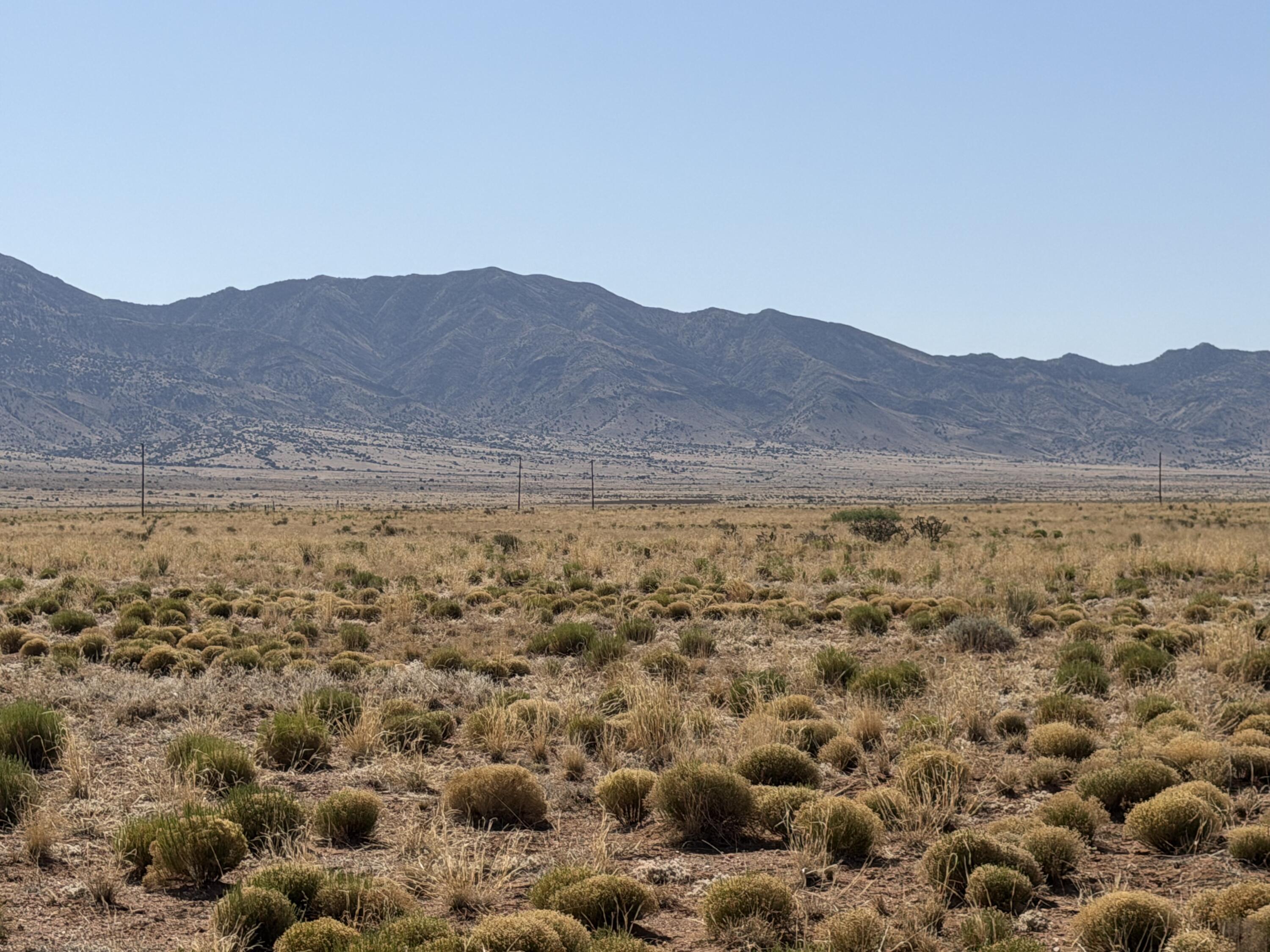 Photo 13 — Lot 28 Military Highway