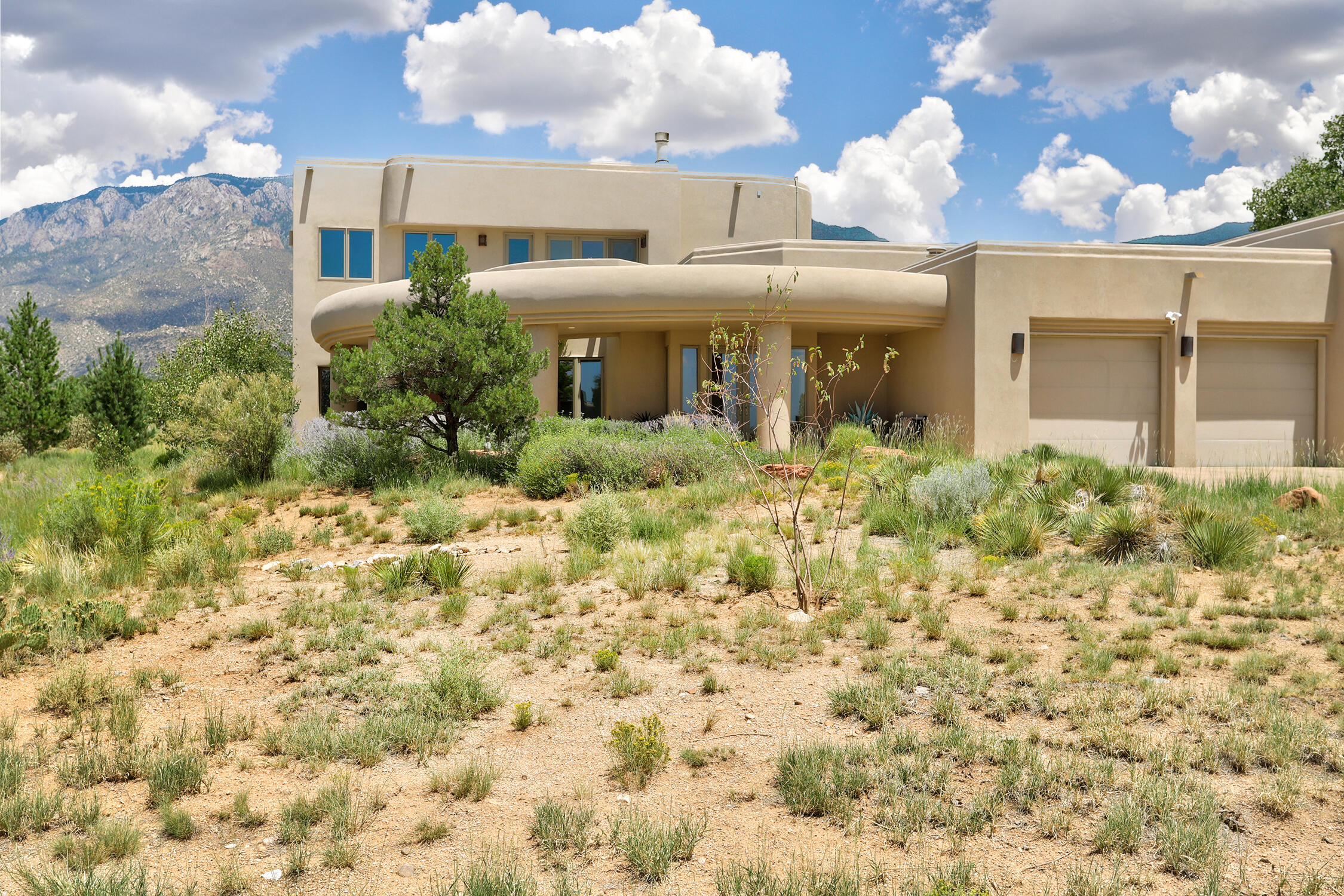 Photo 15 — 13407 Desert Zinnia Court NE