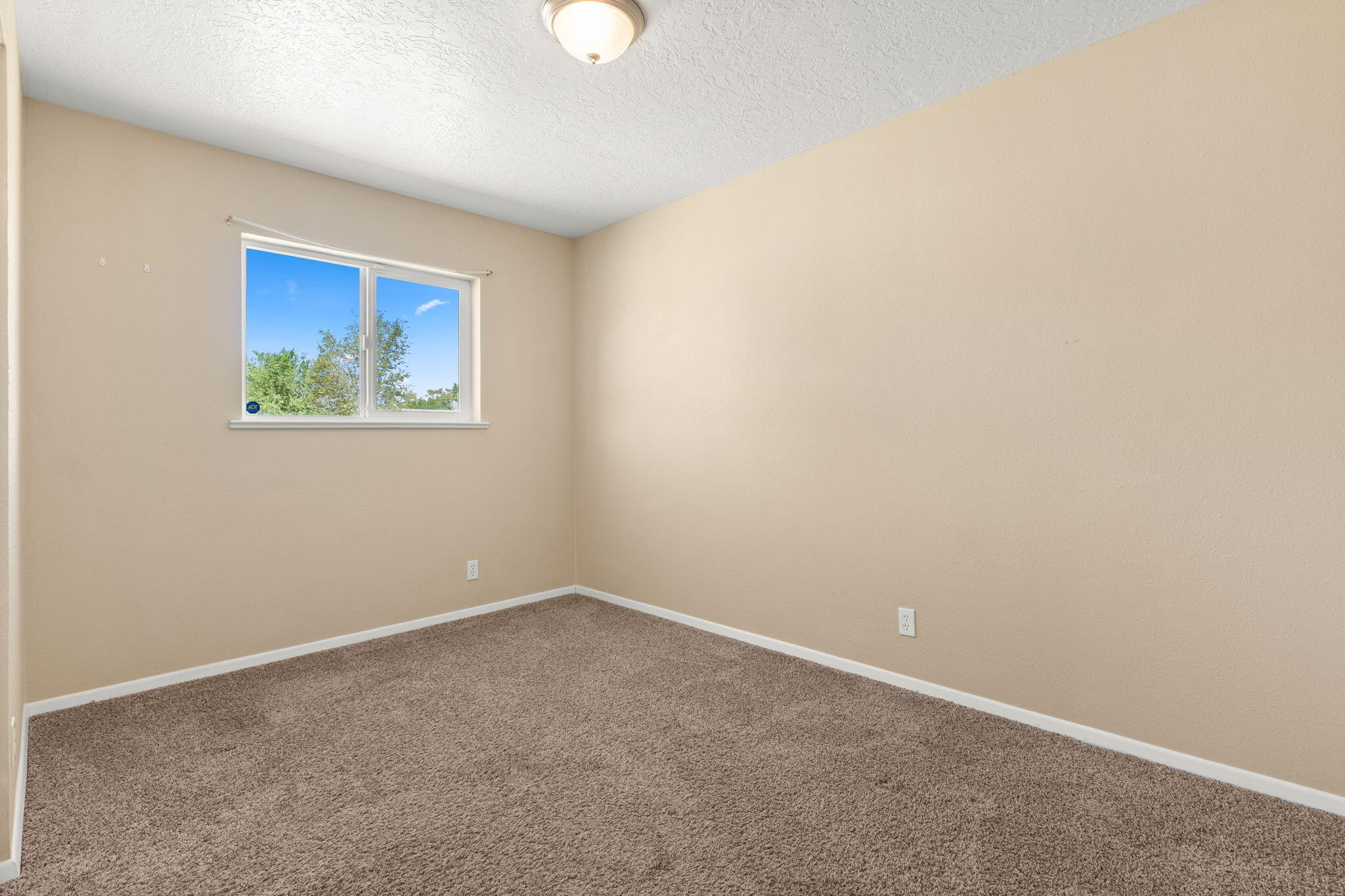 Photo 4 — 4904 Cerritos Avenue SW