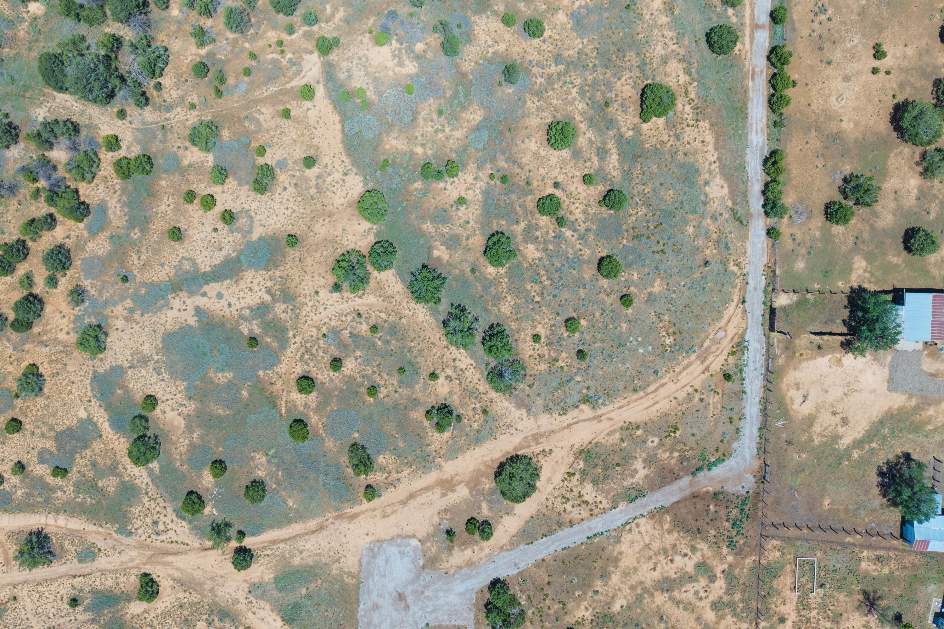 Photo 6 — 206 Rincon Loop Road