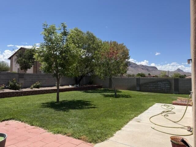 Photo 6 — 1203 Mineral Way
